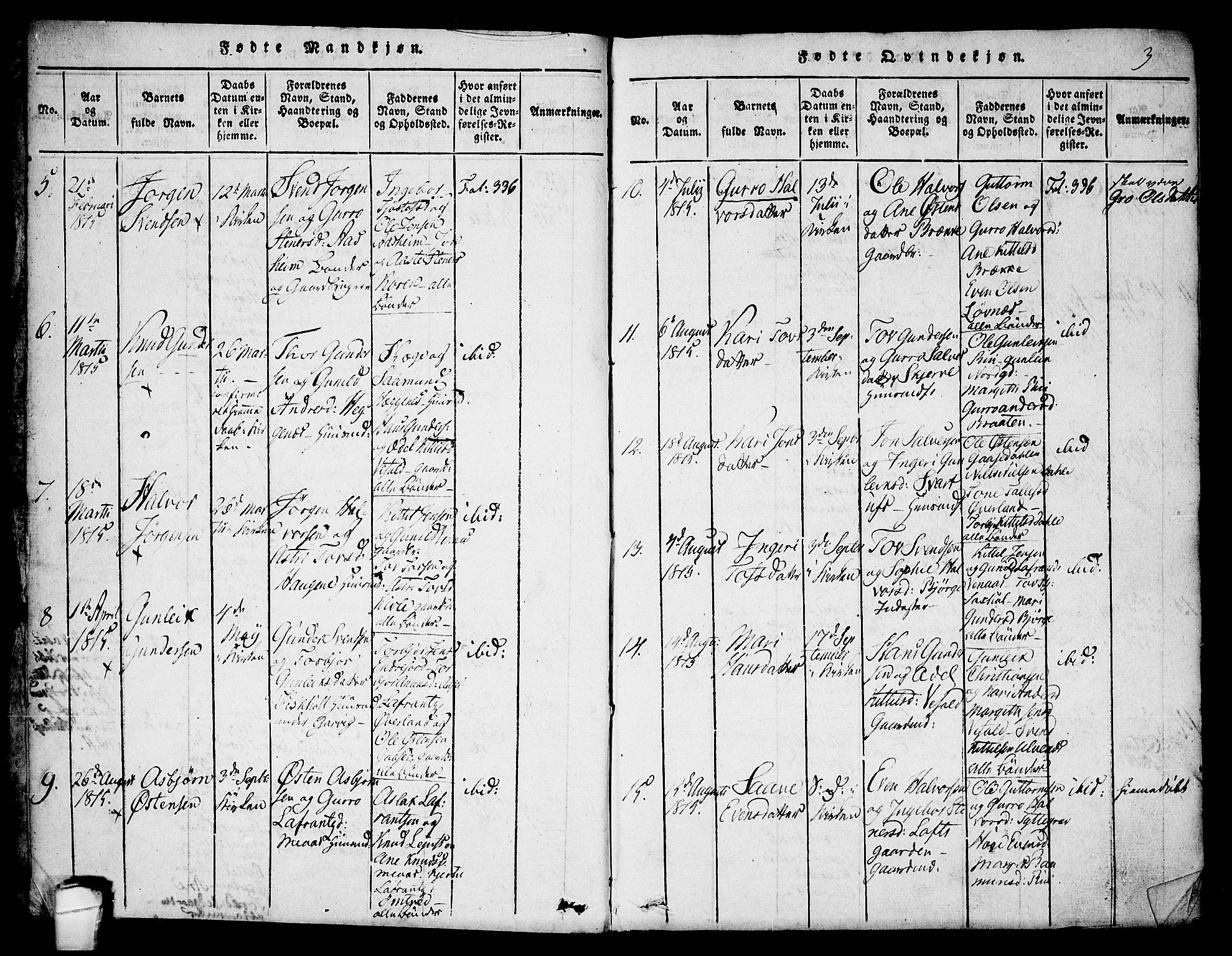 Seljord kirkebøker, AV/SAKO-A-20/F/Fa/L0010: Parish register (official) no. I 10, 1815-1831, p. 3