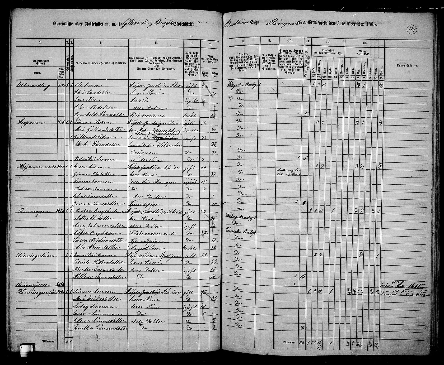 RA, 1865 census for Ringsaker, 1865, p. 380