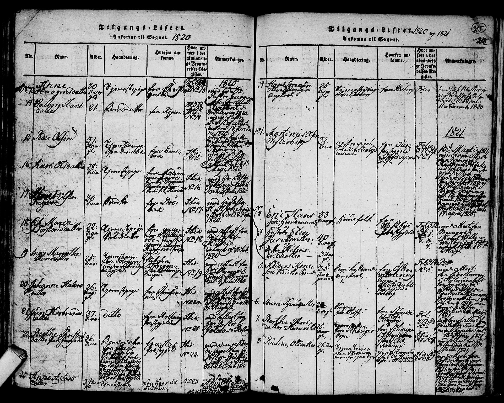 Hurum kirkebøker, SAKO/A-229/F/Fa/L0009: Parish register (official) no. 9, 1816-1826, p. 315