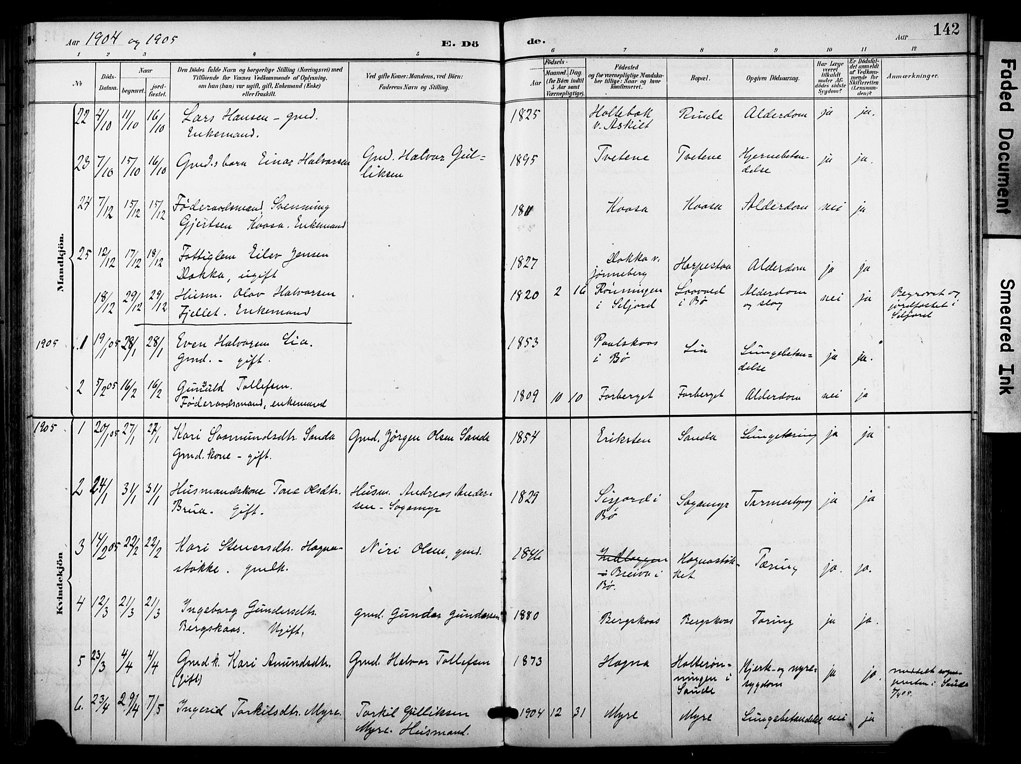 Bø kirkebøker, SAKO/A-257/F/Fa/L0012: Parish register (official) no. 12, 1900-1908, p. 142