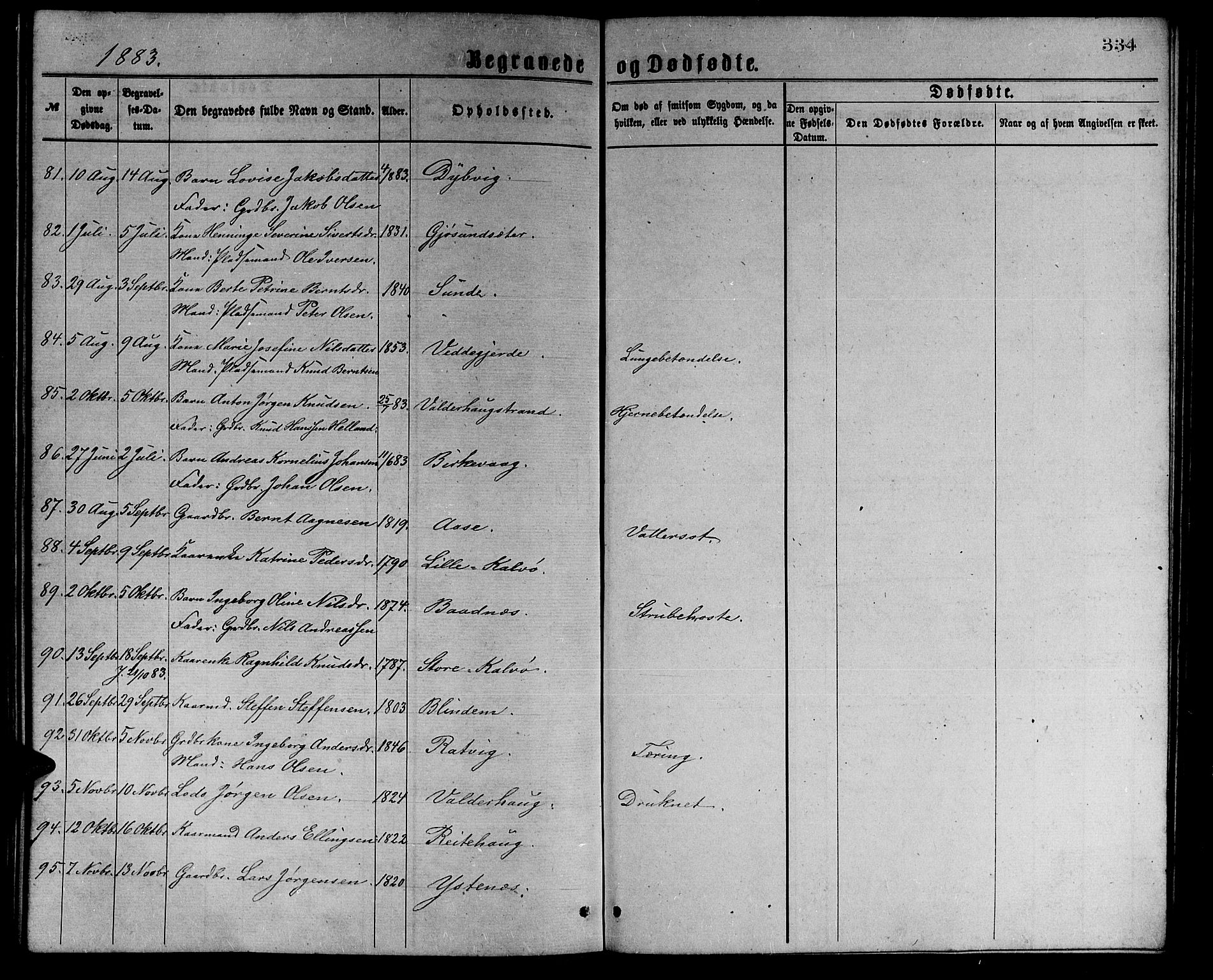 Ministerialprotokoller, klokkerbøker og fødselsregistre - Møre og Romsdal, AV/SAT-A-1454/528/L0429: Parish register (copy) no. 528C10, 1872-1886, p. 334