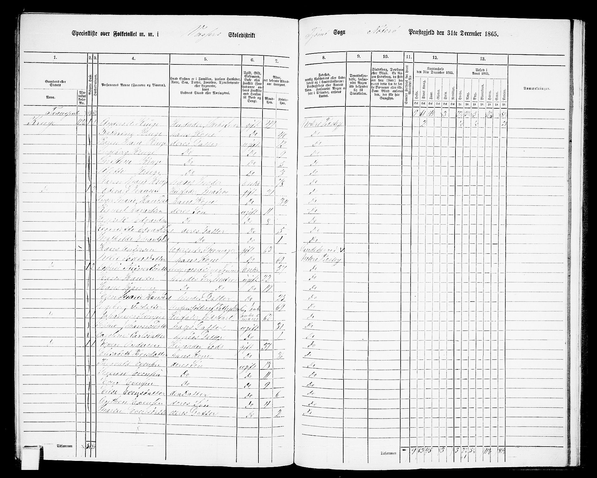 RA, 1865 census for Nøtterøy, 1865, p. 297