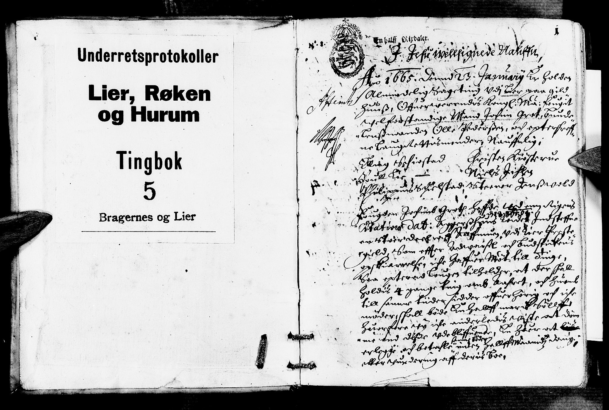 Lier, Røyken og Hurum sorenskriveri, SAKO/A-89/F/Fa/L0006: Tingbok, 1665-1666, p. 1