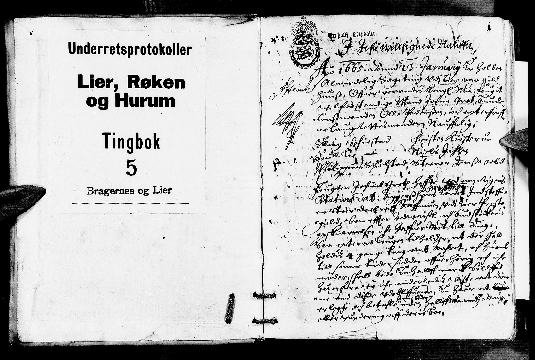 Lier, Røyken og Hurum sorenskriveri, AV/SAKO-A-89/F/Fa/L0006: Tingbok, 1665-1666, p. 1