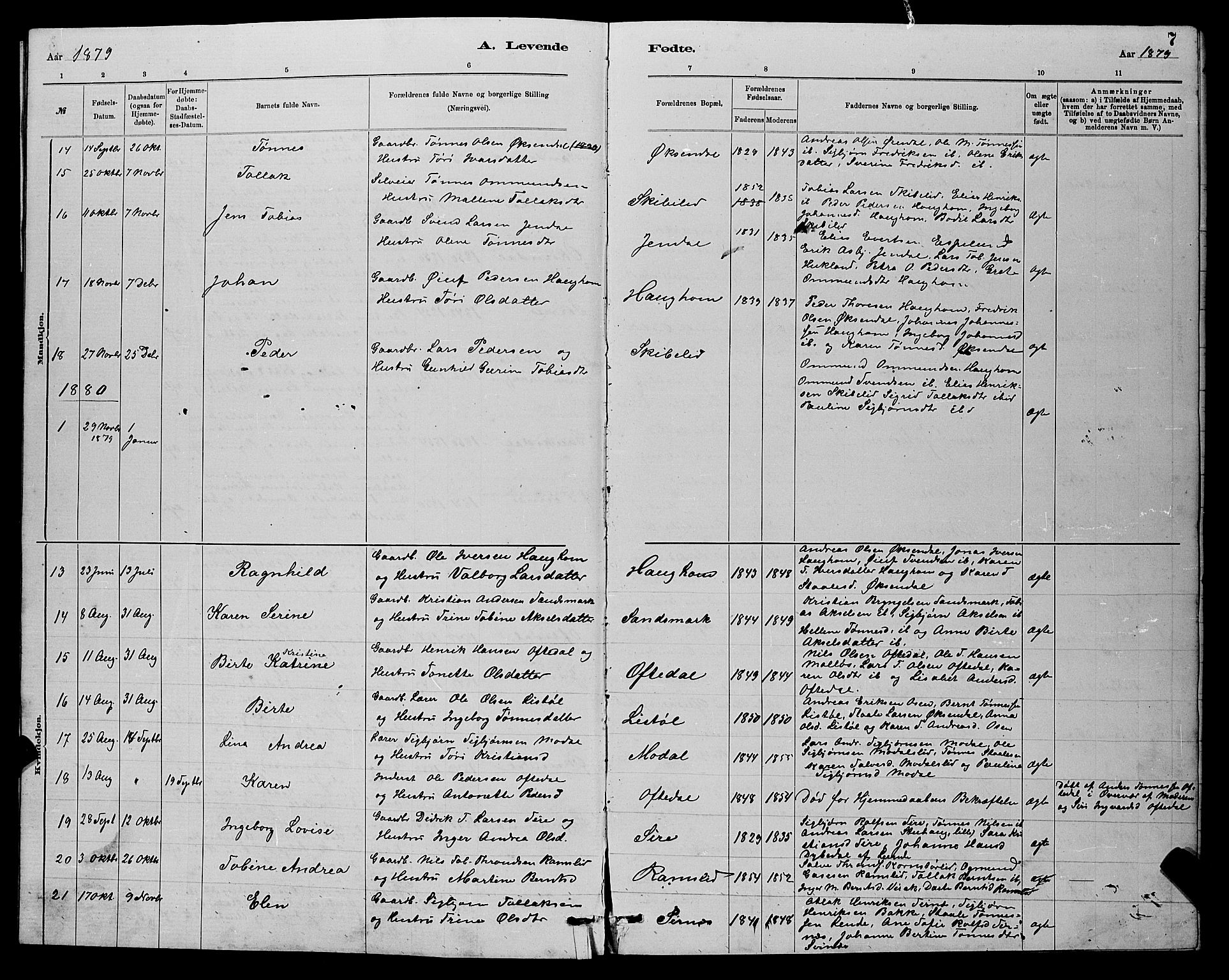 Bakke sokneprestkontor, AV/SAK-1111-0002/F/Fb/Fba/L0002: Parish register (copy) no. B 2, 1879-1893, p. 7