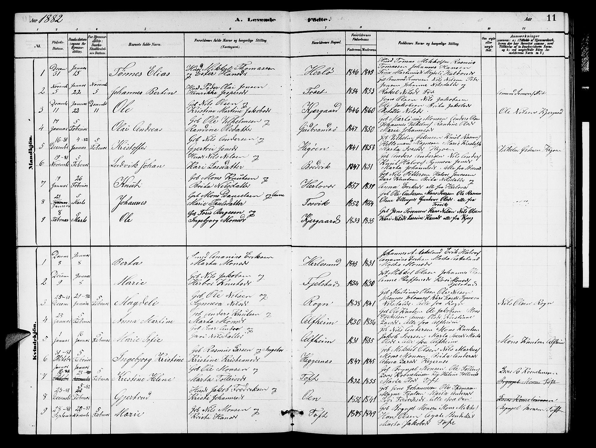 Herdla Sokneprestembete, SAB/A-75701/H/Hab: Parish register (copy) no. A 2, 1881-1888, p. 11