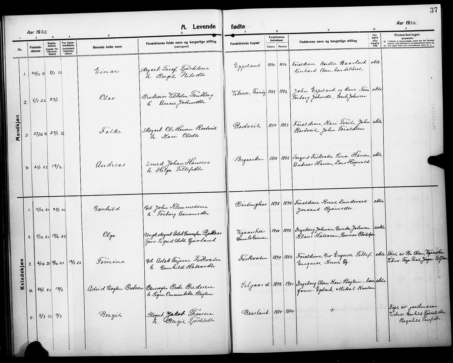 Åmli sokneprestkontor, AV/SAK-1111-0050/F/Fb/Fbc/L0006: Parish register (copy) no. B 6, 1915-1929, p. 37