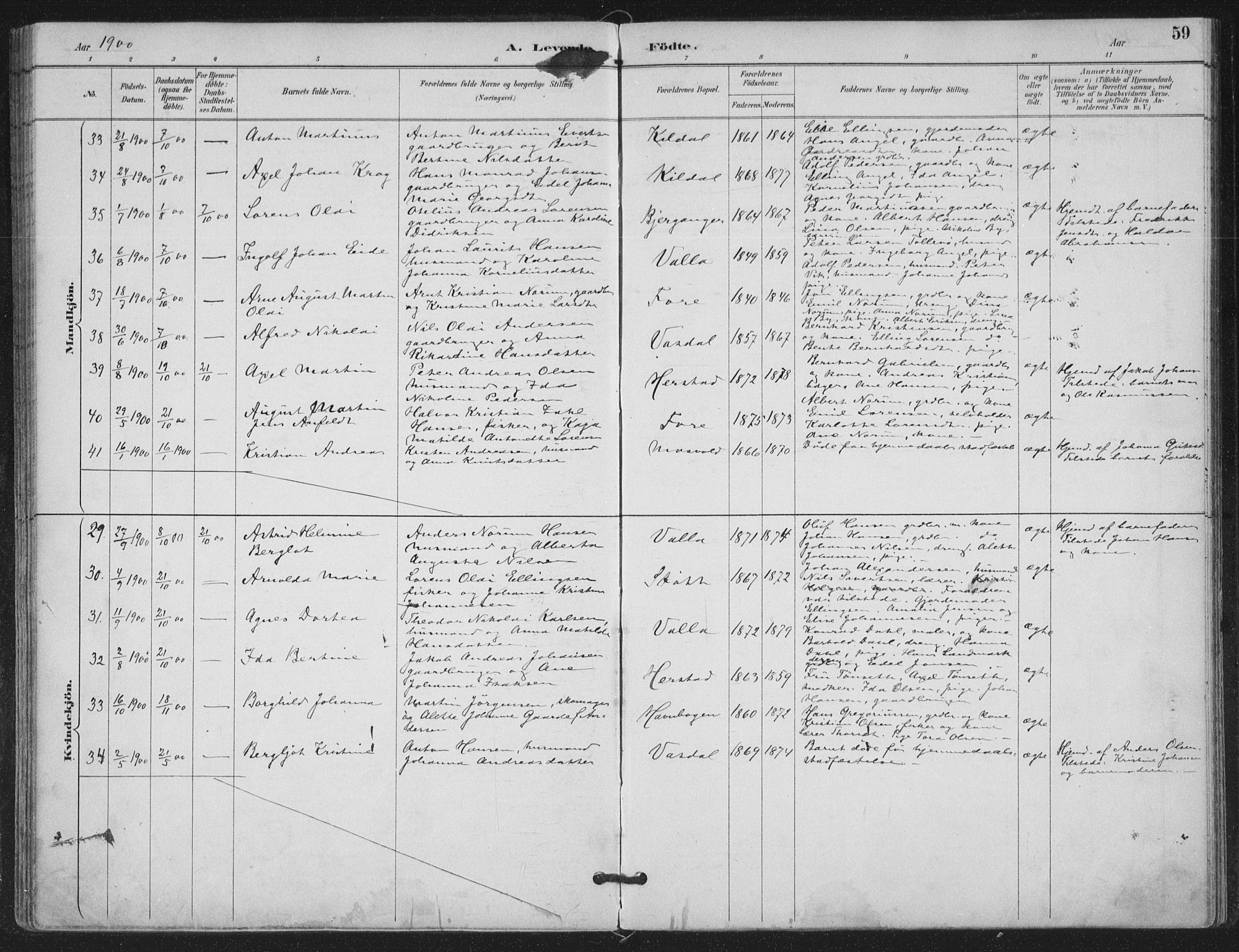 Ministerialprotokoller, klokkerbøker og fødselsregistre - Nordland, SAT/A-1459/843/L0628: Parish register (official) no. 843A03, 1889-1907, p. 59