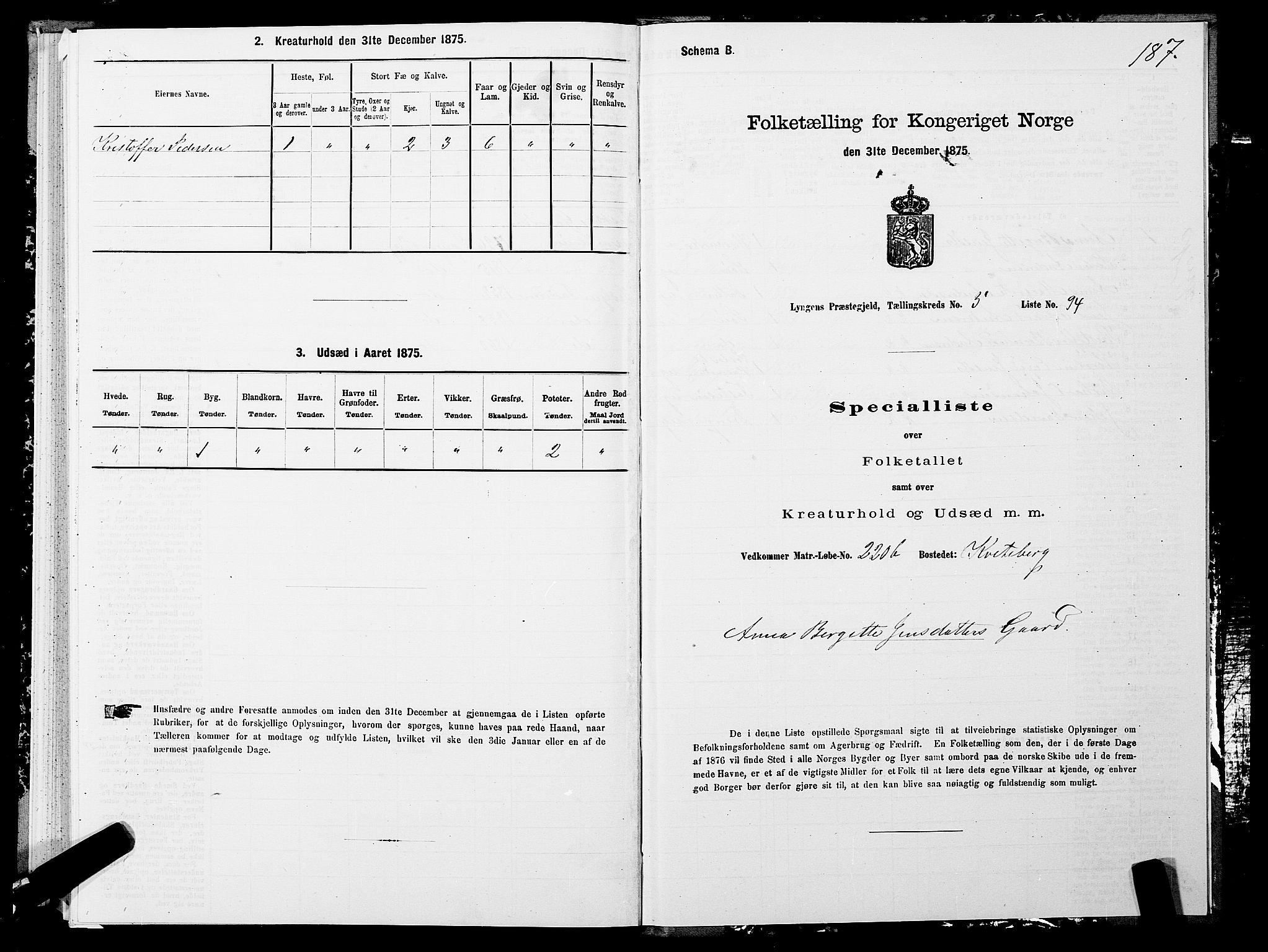 SATØ, 1875 census for 1938P Lyngen, 1875, p. 5187