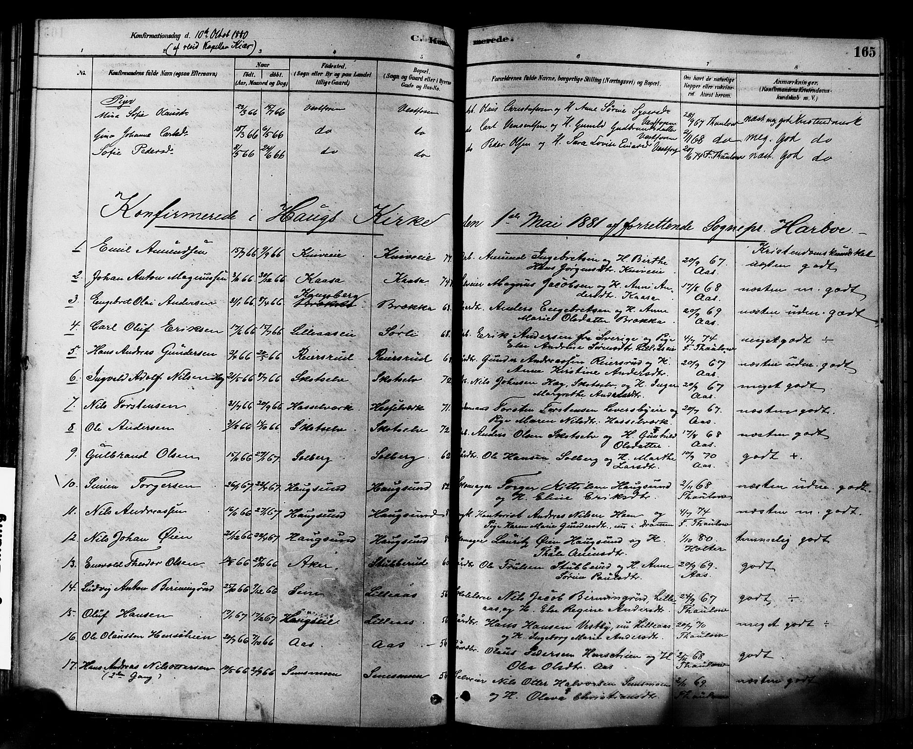 Eiker kirkebøker, SAKO/A-4/F/Fb/L0001: Parish register (official) no. II 1, 1878-1888, p. 165