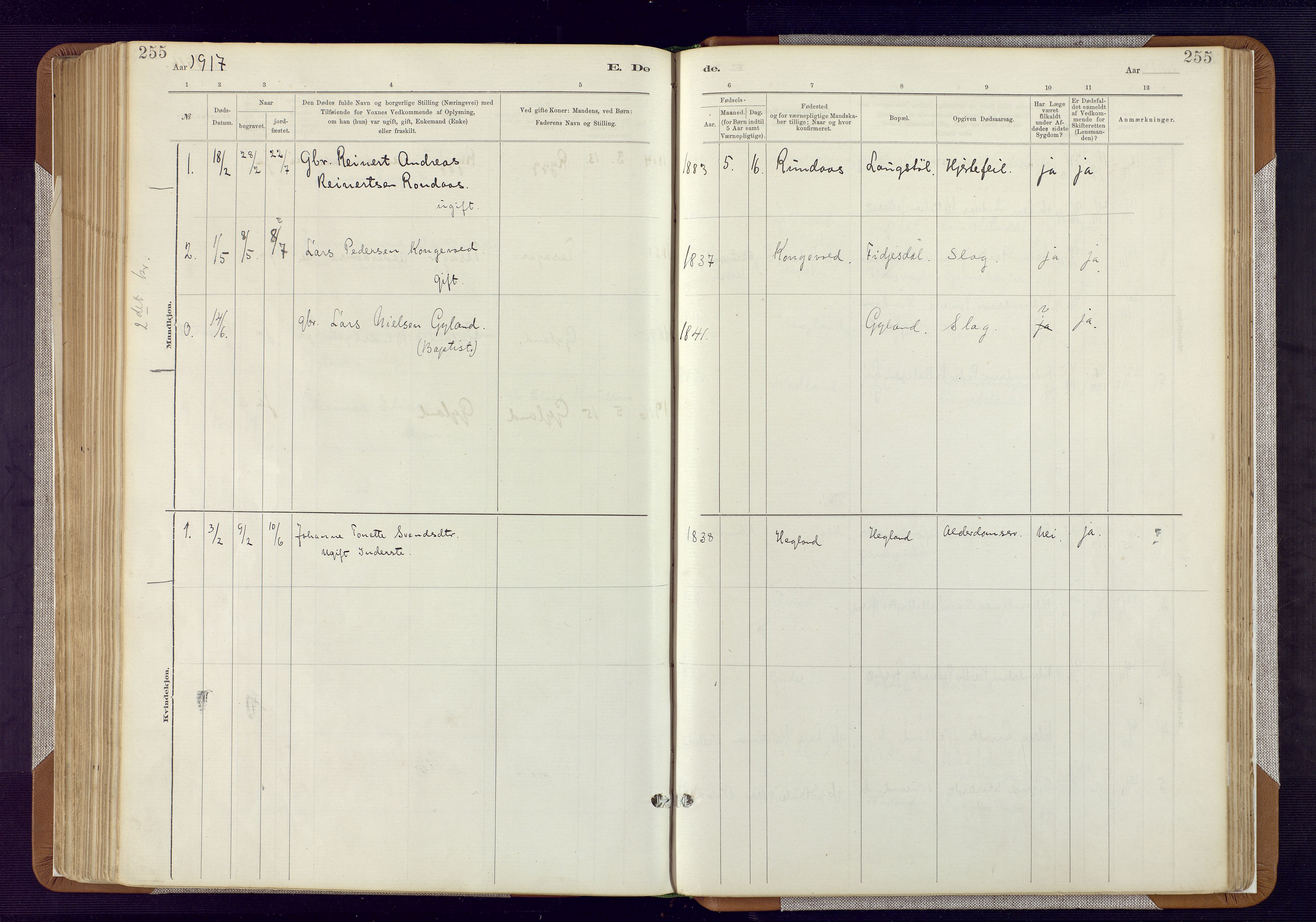 Bakke sokneprestkontor, SAK/1111-0002/F/Fa/Fab/L0003: Parish register (official) no. A 3, 1884-1921, p. 255