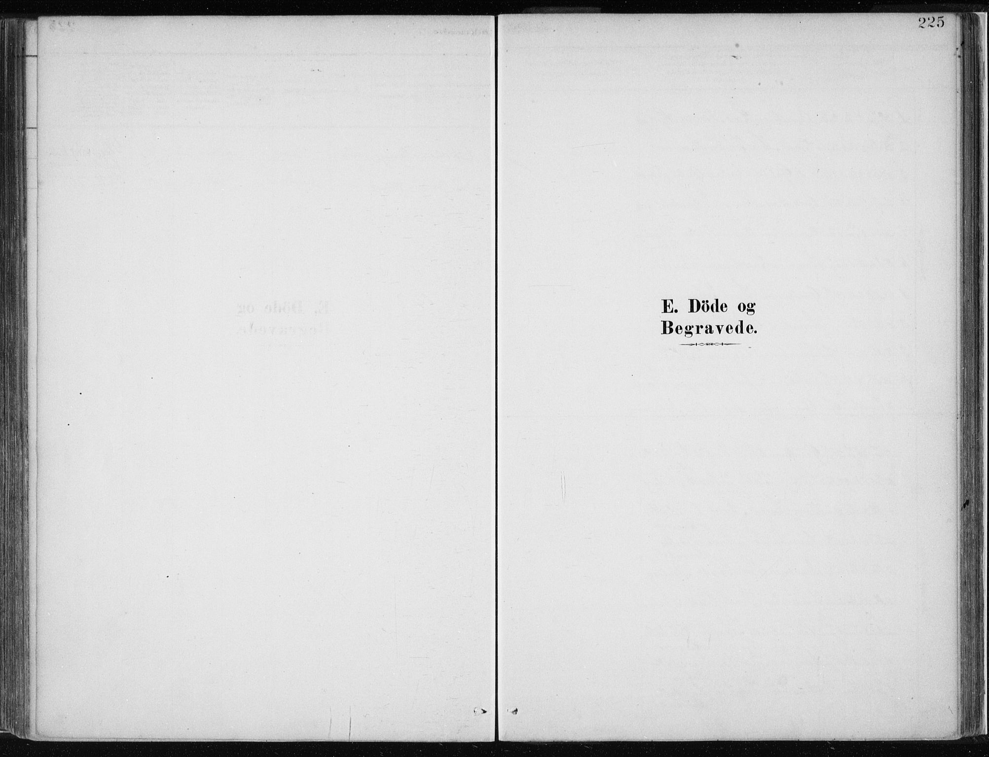 Masfjorden sokneprestembete, AV/SAB-A-77001: Parish register (official) no. B  1, 1876-1899, p. 225