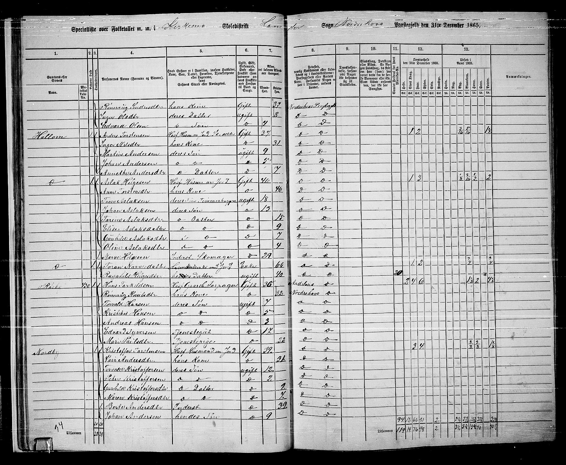 RA, 1865 census for Norderhov/Norderhov, Haug og Lunder, 1865, p. 32