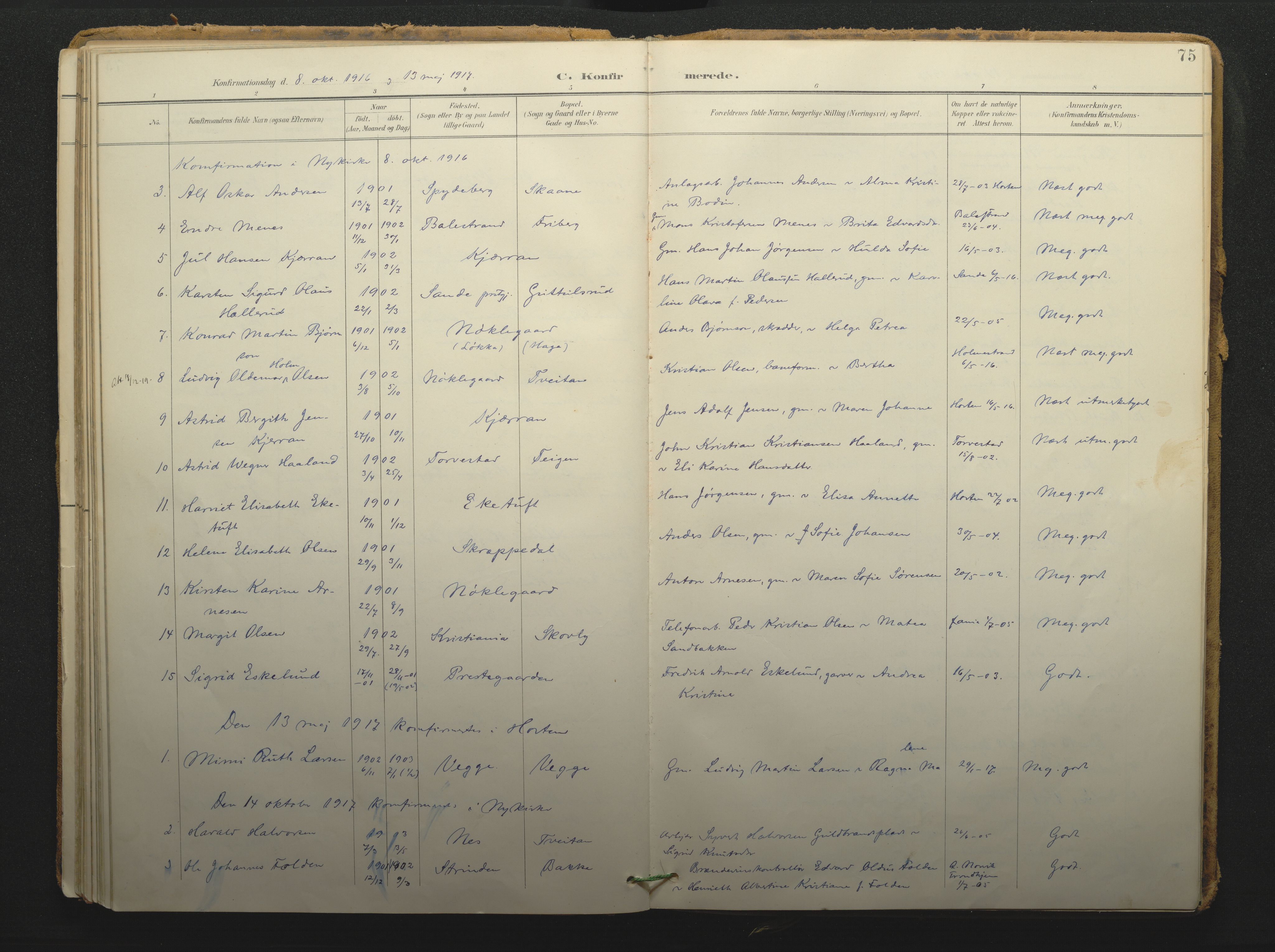 Borre kirkebøker, SAKO/A-338/F/Fc/L0003: Parish register (official) no. III 3, 1896-1919, p. 75