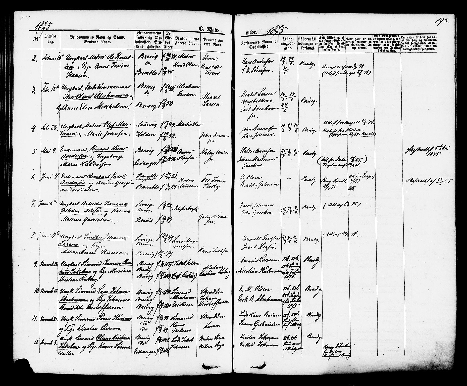 Brevik kirkebøker, SAKO/A-255/F/Fa/L0006: Parish register (official) no. 6, 1866-1881, p. 193