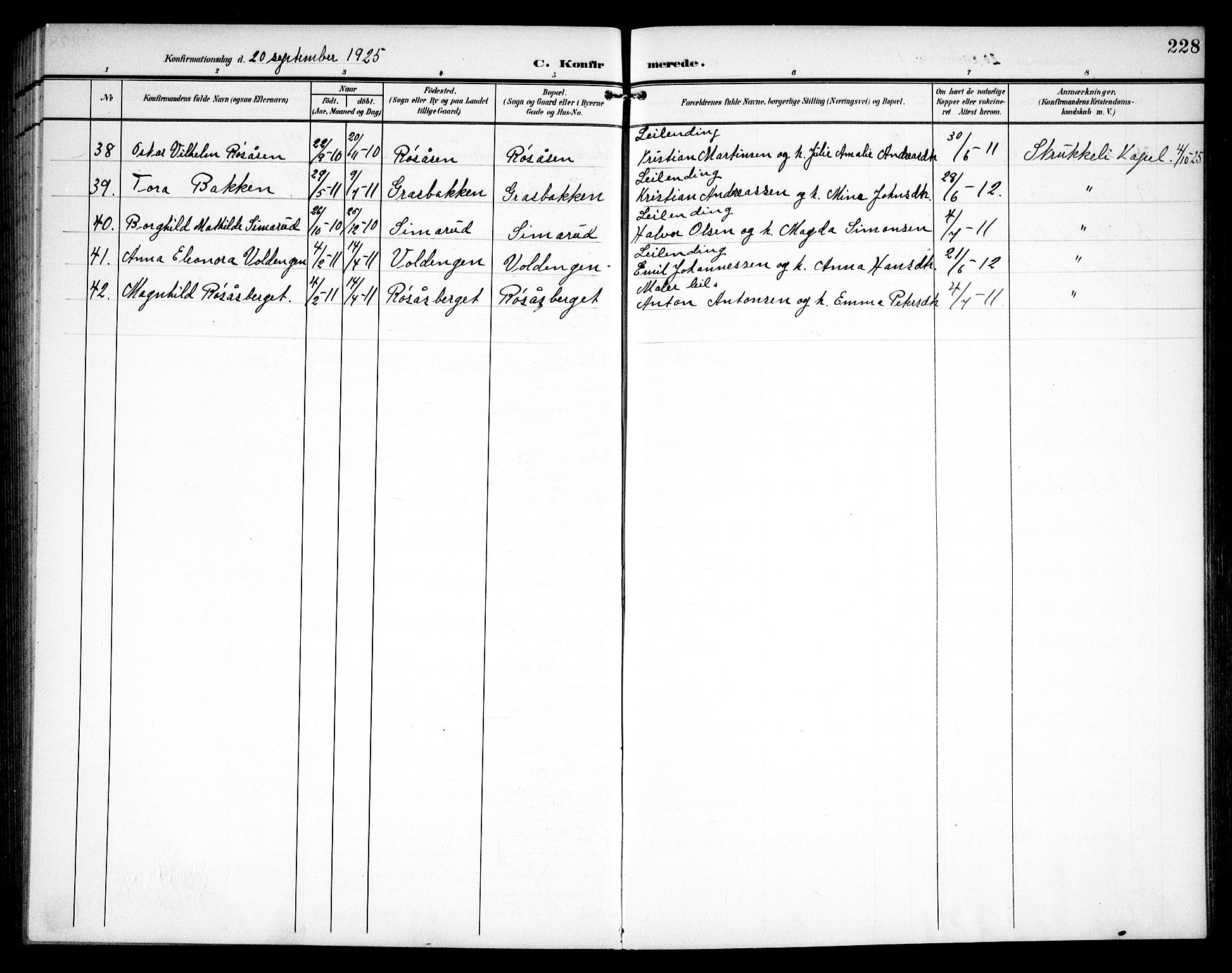 Hurdal prestekontor Kirkebøker, AV/SAO-A-10889/G/Ga/L0001: Parish register (copy) no. I 1, 1902-1934, p. 228