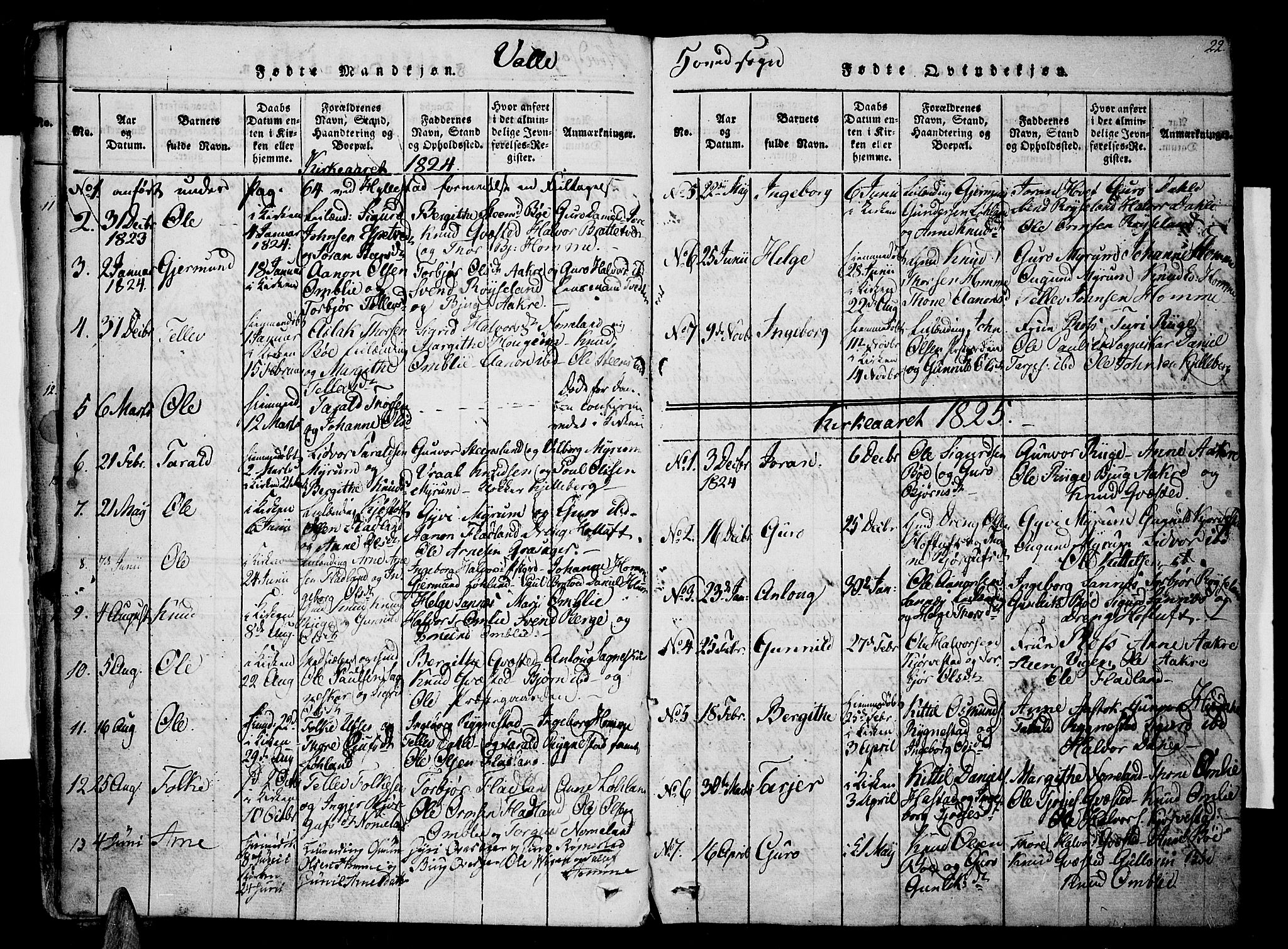 Valle sokneprestkontor, SAK/1111-0044/F/Fa/Fac/L0005: Parish register (official) no. A 5 /1, 1816-1831, p. 22