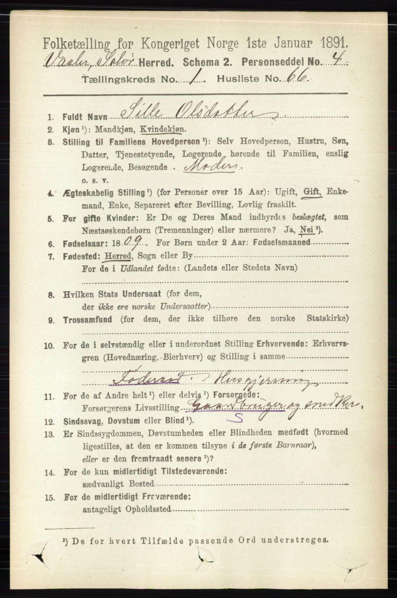 RA, 1891 census for 0426 Våler, 1891, p. 423