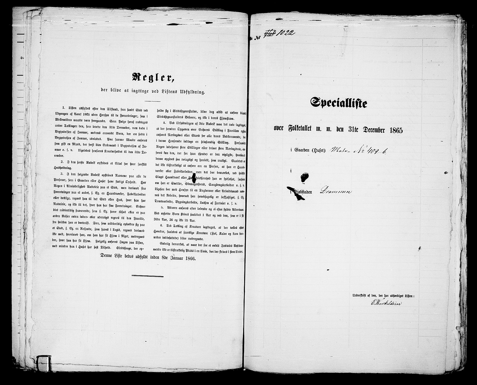 RA, 1865 census for Strømsø in Drammen, 1865, p. 869