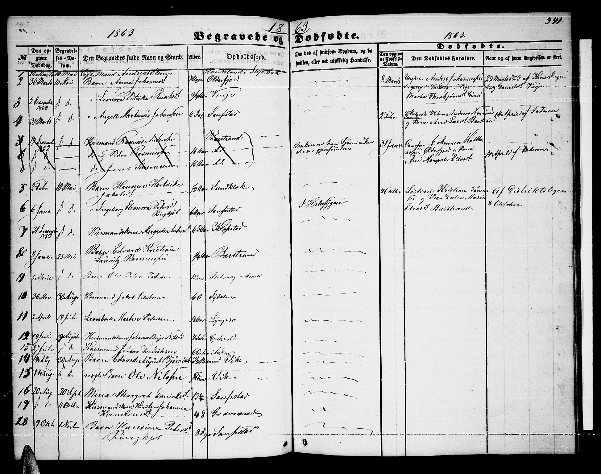 Ministerialprotokoller, klokkerbøker og fødselsregistre - Nordland, AV/SAT-A-1459/876/L1102: Parish register (copy) no. 876C01, 1852-1886, p. 341