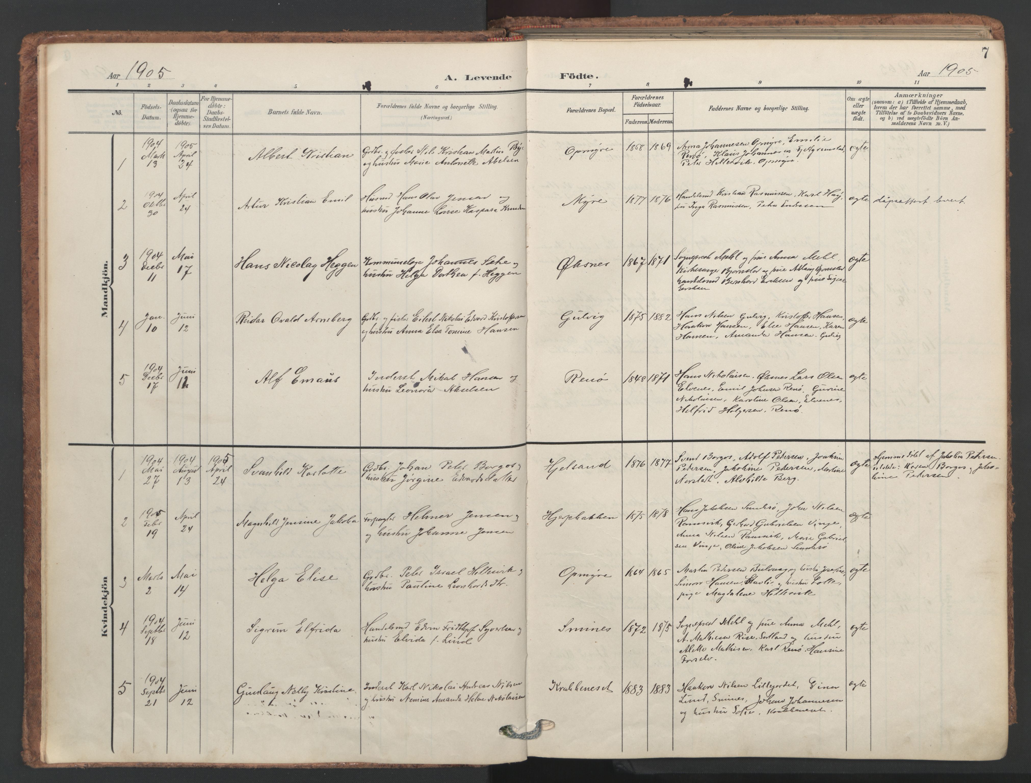 Ministerialprotokoller, klokkerbøker og fødselsregistre - Nordland, SAT/A-1459/893/L1339: Parish register (official) no. 893A11, 1904-1914, p. 7