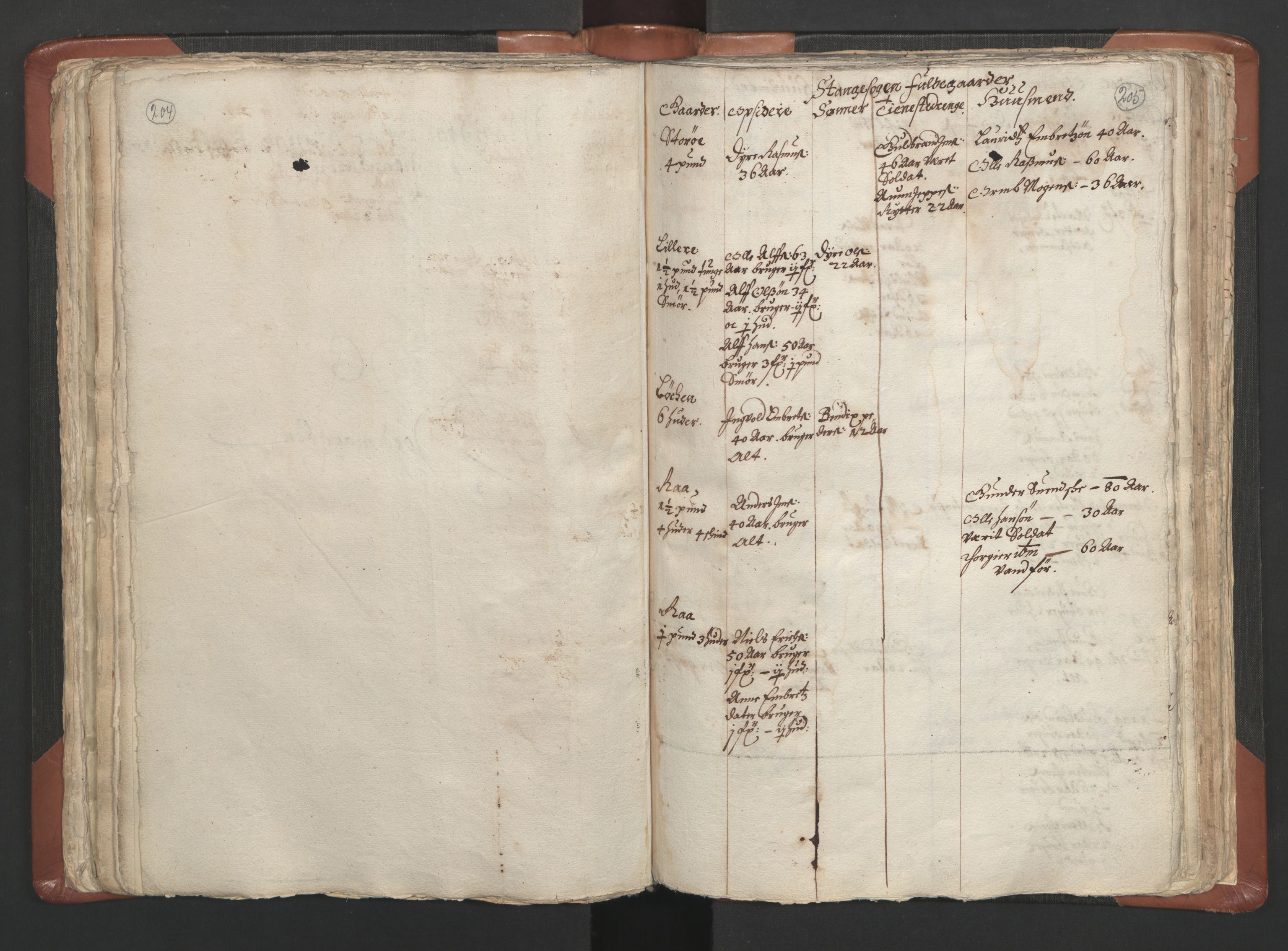RA, Vicar's Census 1664-1666, no. 5: Hedmark deanery, 1664-1666, p. 204-205