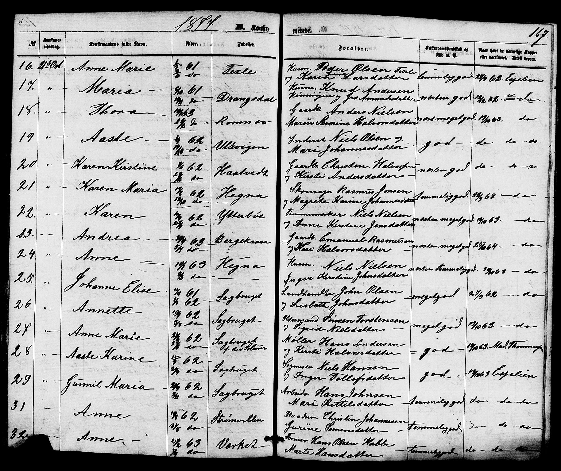 Holla kirkebøker, AV/SAKO-A-272/F/Fa/L0007: Parish register (official) no. 7, 1869-1881, p. 167