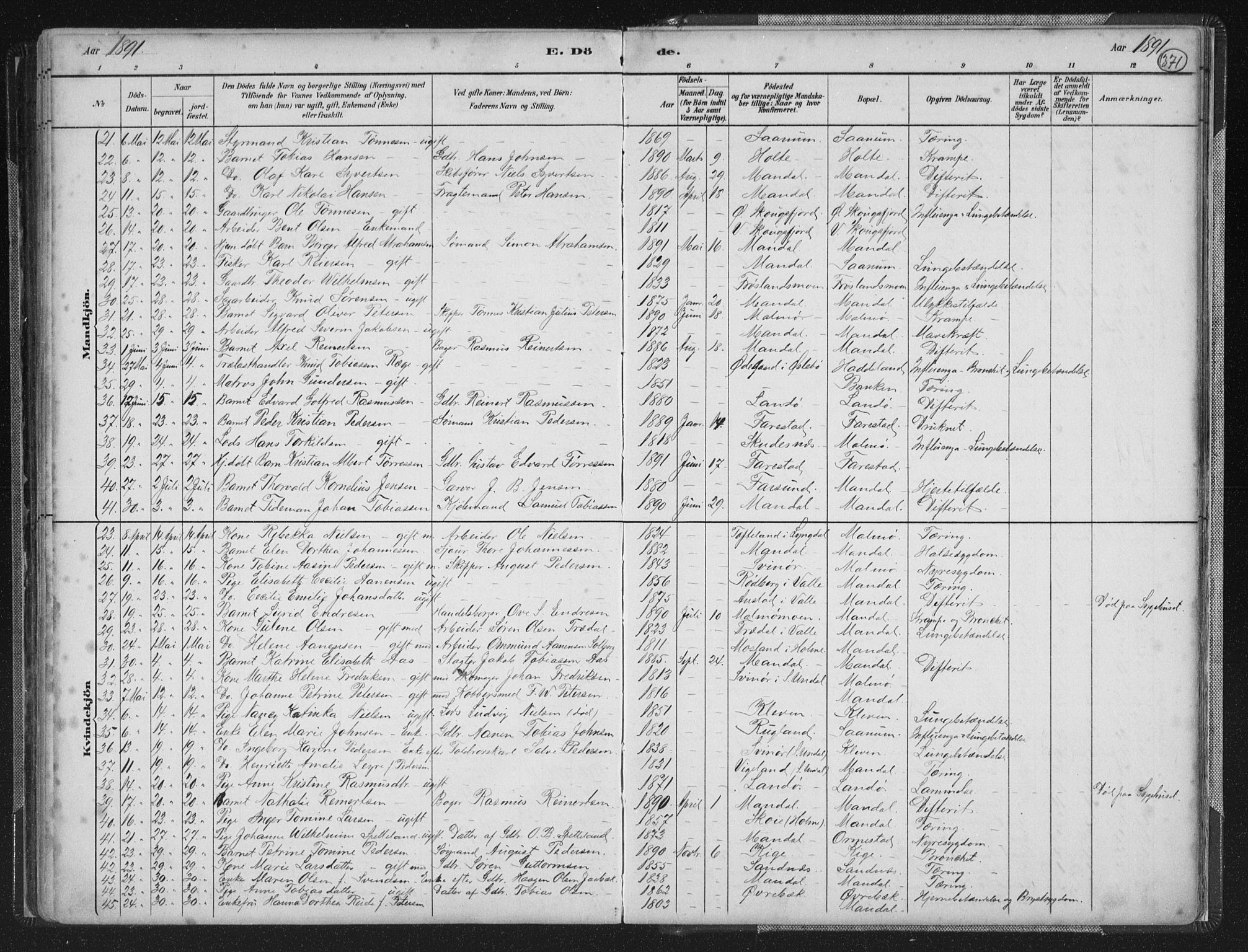 Mandal sokneprestkontor, AV/SAK-1111-0030/F/Fb/Fba/L0011: Parish register (copy) no. B 5, 1880-1898, p. 371