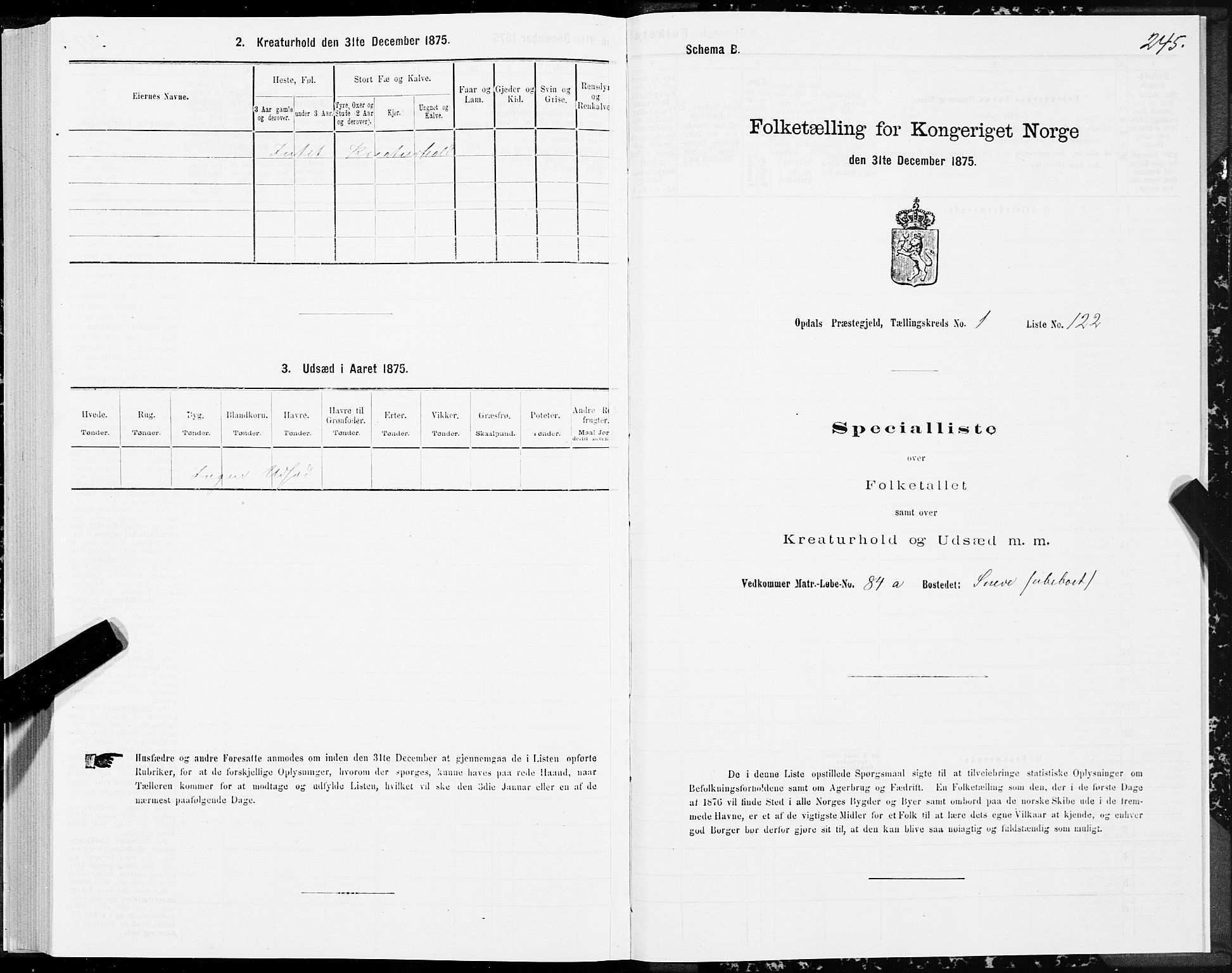 SAT, 1875 census for 1634P Oppdal, 1875, p. 1245