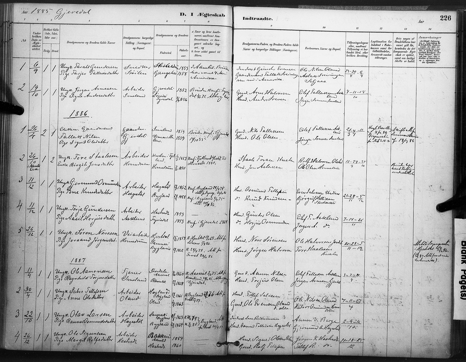 Åmli sokneprestkontor, SAK/1111-0050/F/Fa/Fac/L0010: Parish register (official) no. A 10 /2, 1885-1899, p. 226