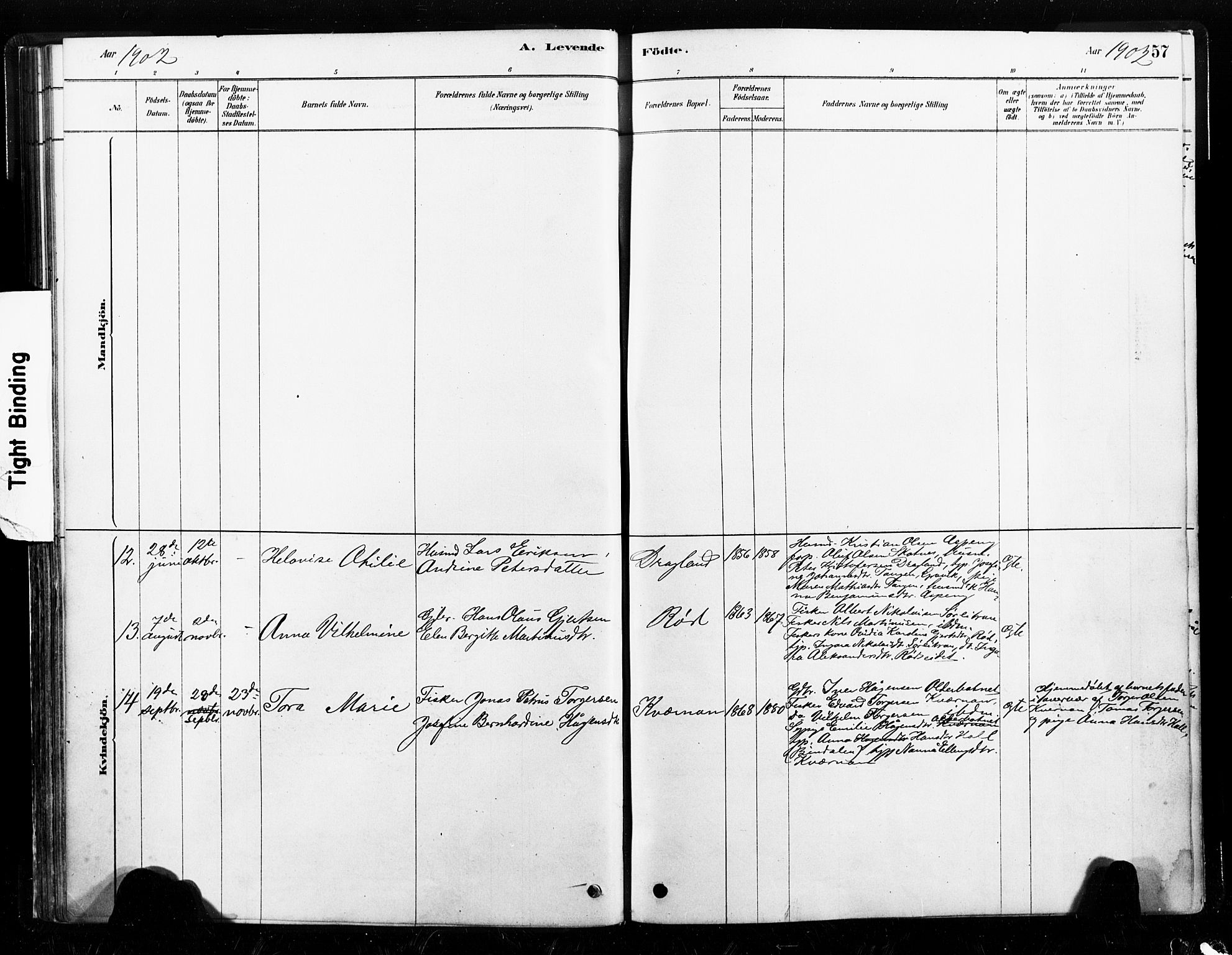 Ministerialprotokoller, klokkerbøker og fødselsregistre - Nord-Trøndelag, SAT/A-1458/789/L0705: Parish register (official) no. 789A01, 1878-1910, p. 57
