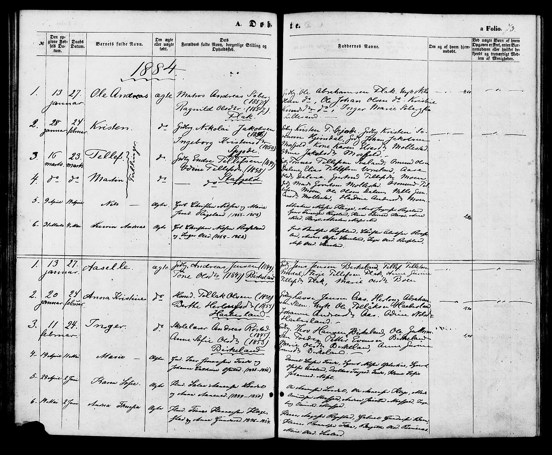 Birkenes sokneprestkontor, AV/SAK-1111-0004/F/Fa/L0004: Parish register (official) no. A 4, 1867-1886, p. 73