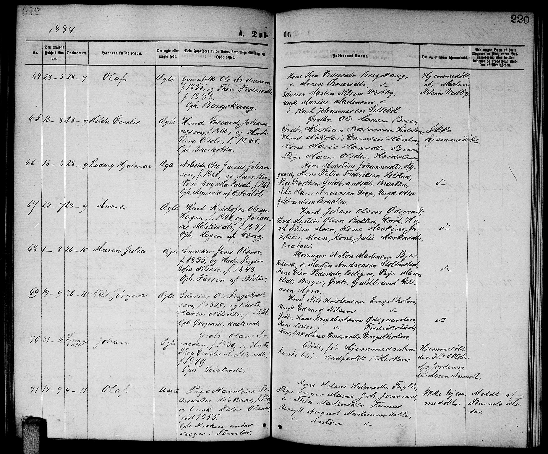 Enebakk prestekontor Kirkebøker, SAO/A-10171c/G/Ga/L0005: Parish register (copy) no. I 5, 1867-1888, p. 220