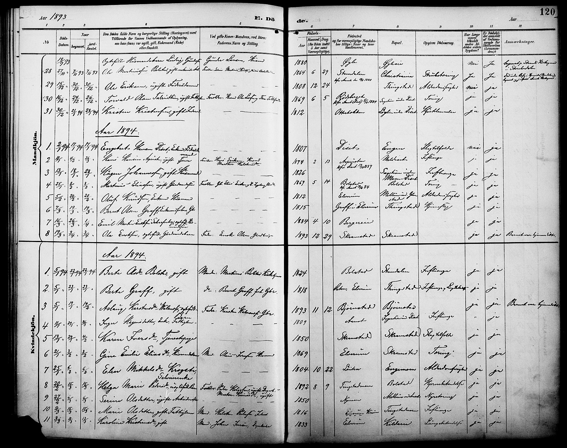 Åmot prestekontor, Hedmark, AV/SAH-PREST-056/H/Ha/Haa/L0011: Parish register (official) no. 11, 1890-1897, p. 120