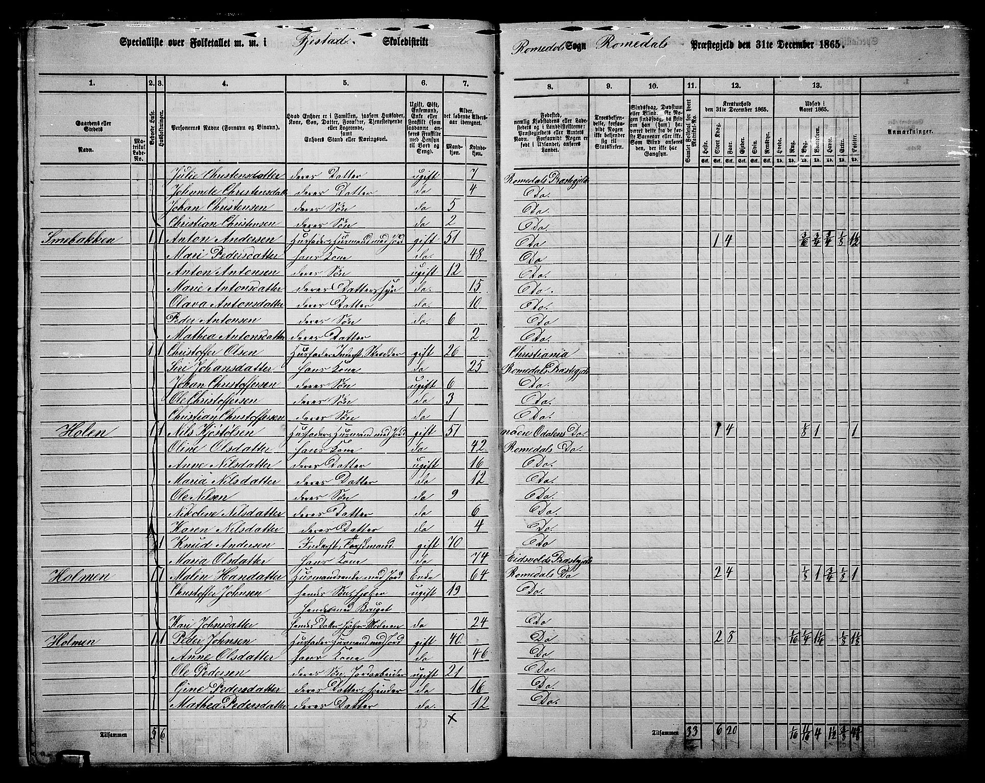 RA, 1865 census for Romedal, 1865, p. 16