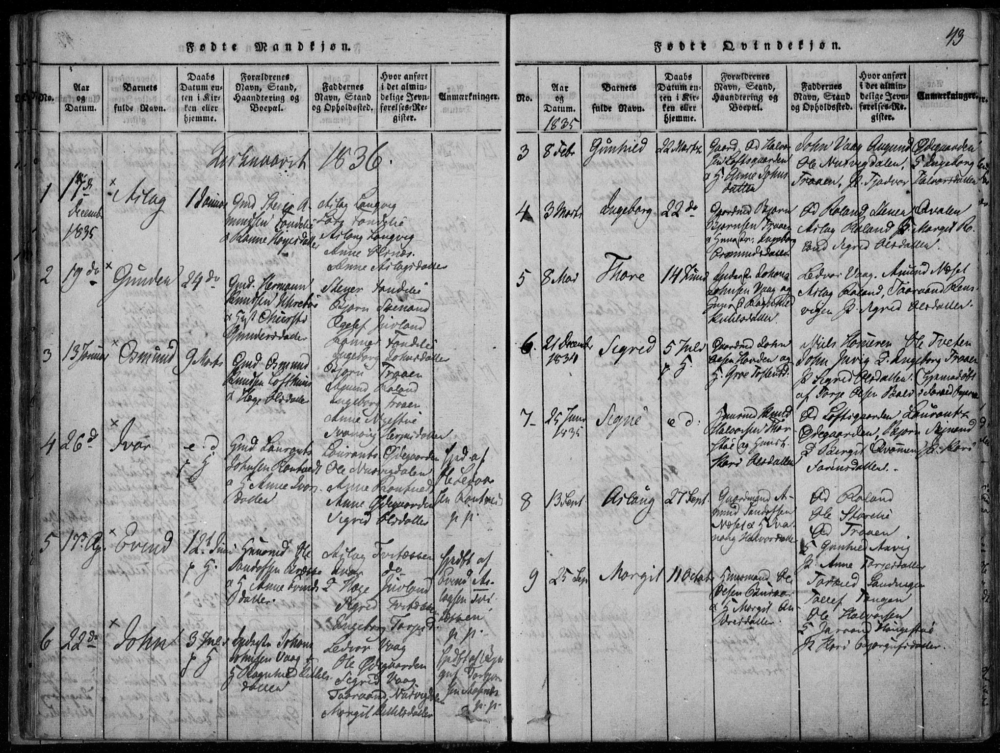 Rauland kirkebøker, SAKO/A-292/F/Fa/L0001: Parish register (official) no. 1, 1814-1859, p. 43