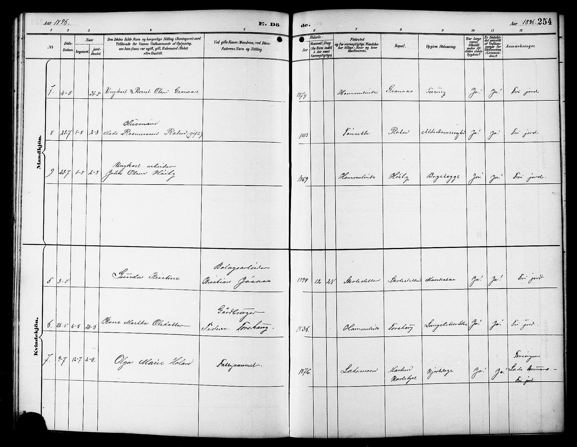 Ministerialprotokoller, klokkerbøker og fødselsregistre - Sør-Trøndelag, AV/SAT-A-1456/617/L0431: Parish register (copy) no. 617C01, 1889-1910, p. 254