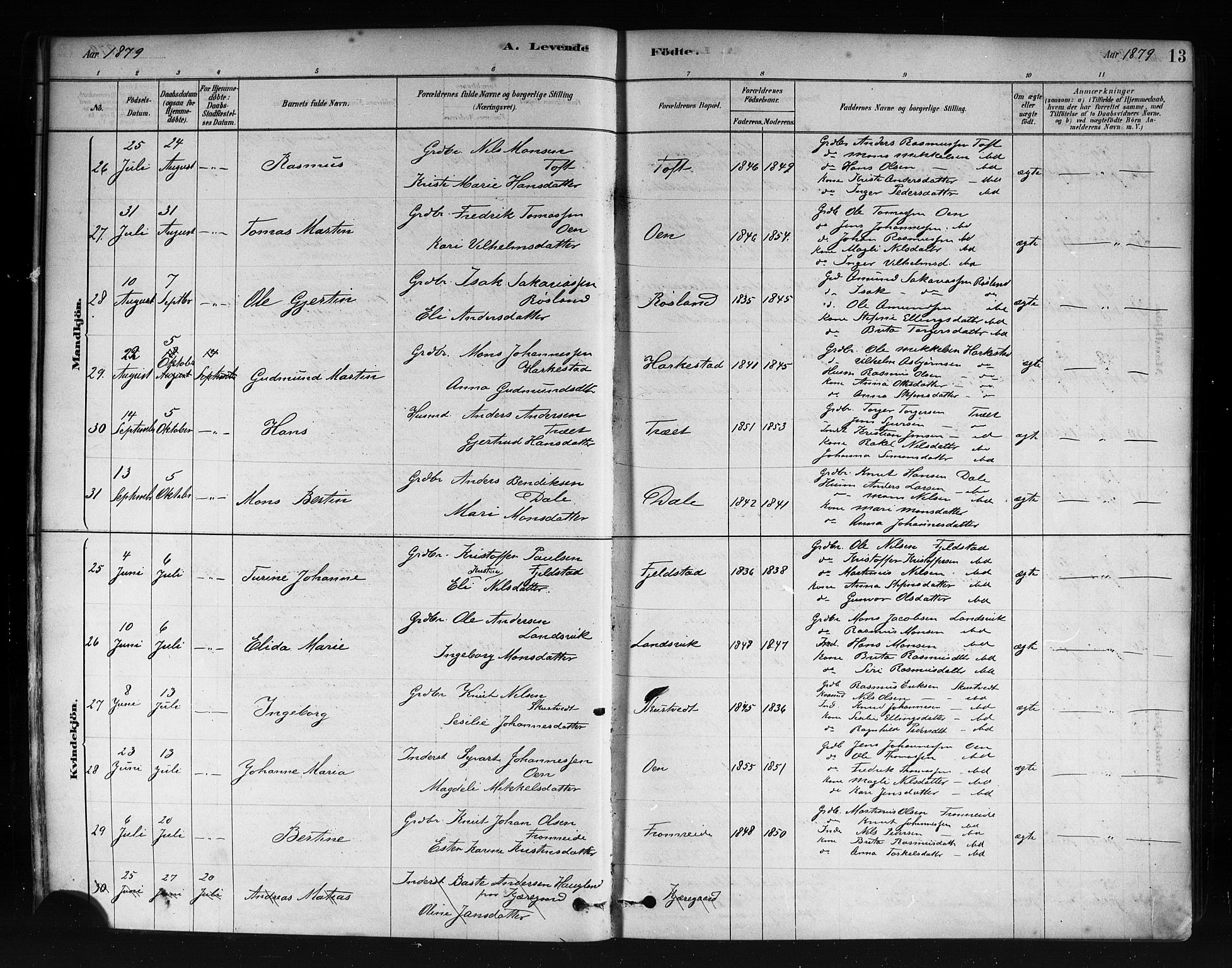 Herdla Sokneprestembete, AV/SAB-A-75701/H/Haa: Parish register (official) no. A 3, 1878-1890, p. 13