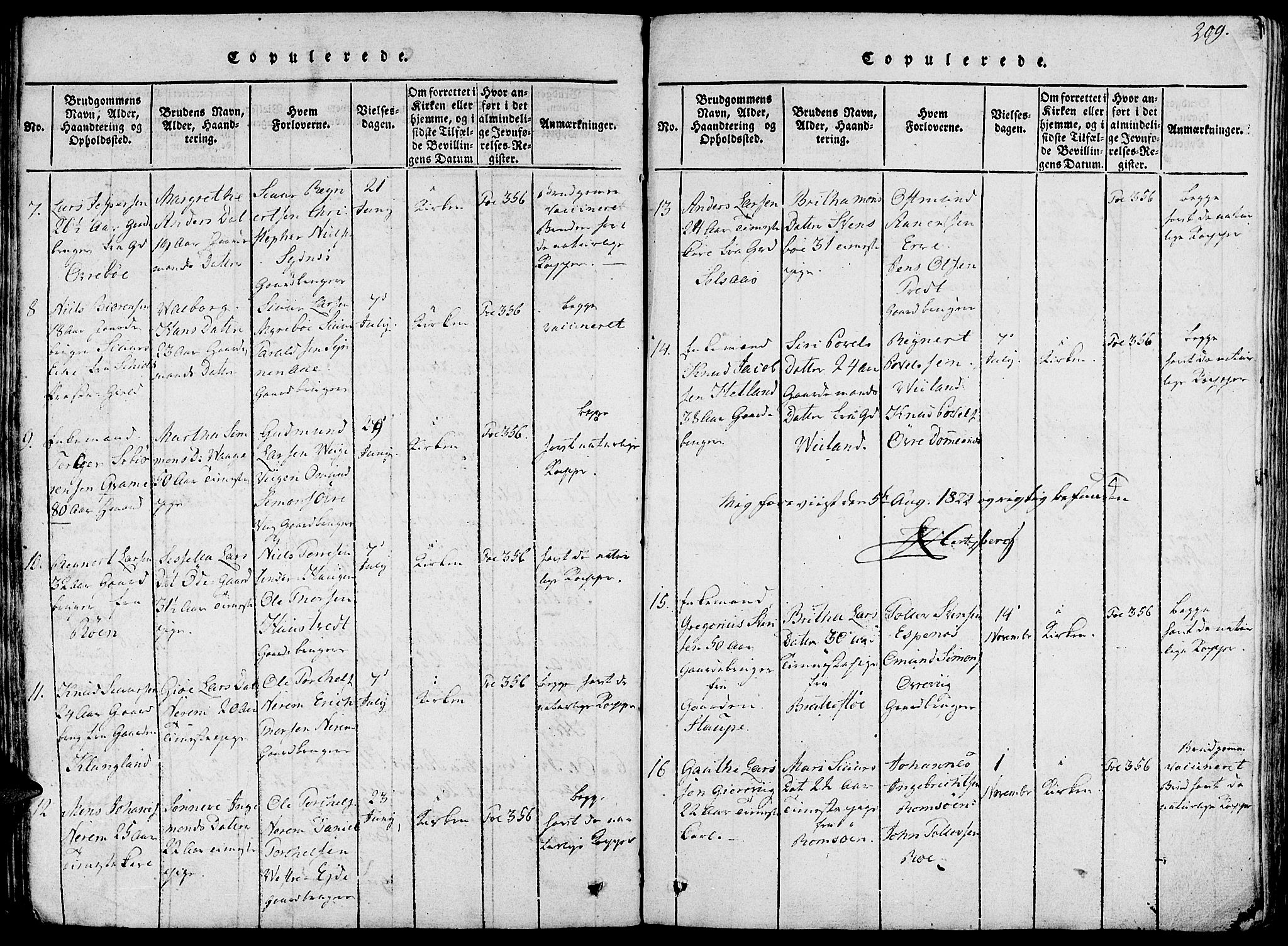 Fjelberg sokneprestembete, SAB/A-75201/H/Haa: Parish register (official) no. A 4, 1816-1822, p. 209