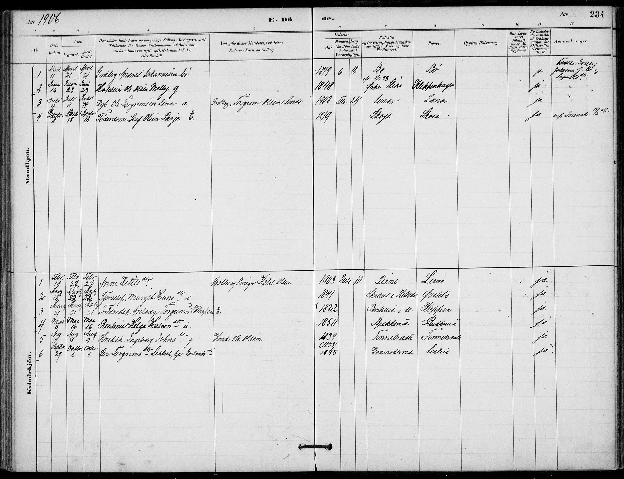 Hjartdal kirkebøker, SAKO/A-270/F/Fb/L0002: Parish register (official) no. II 2, 1880-1932, p. 234