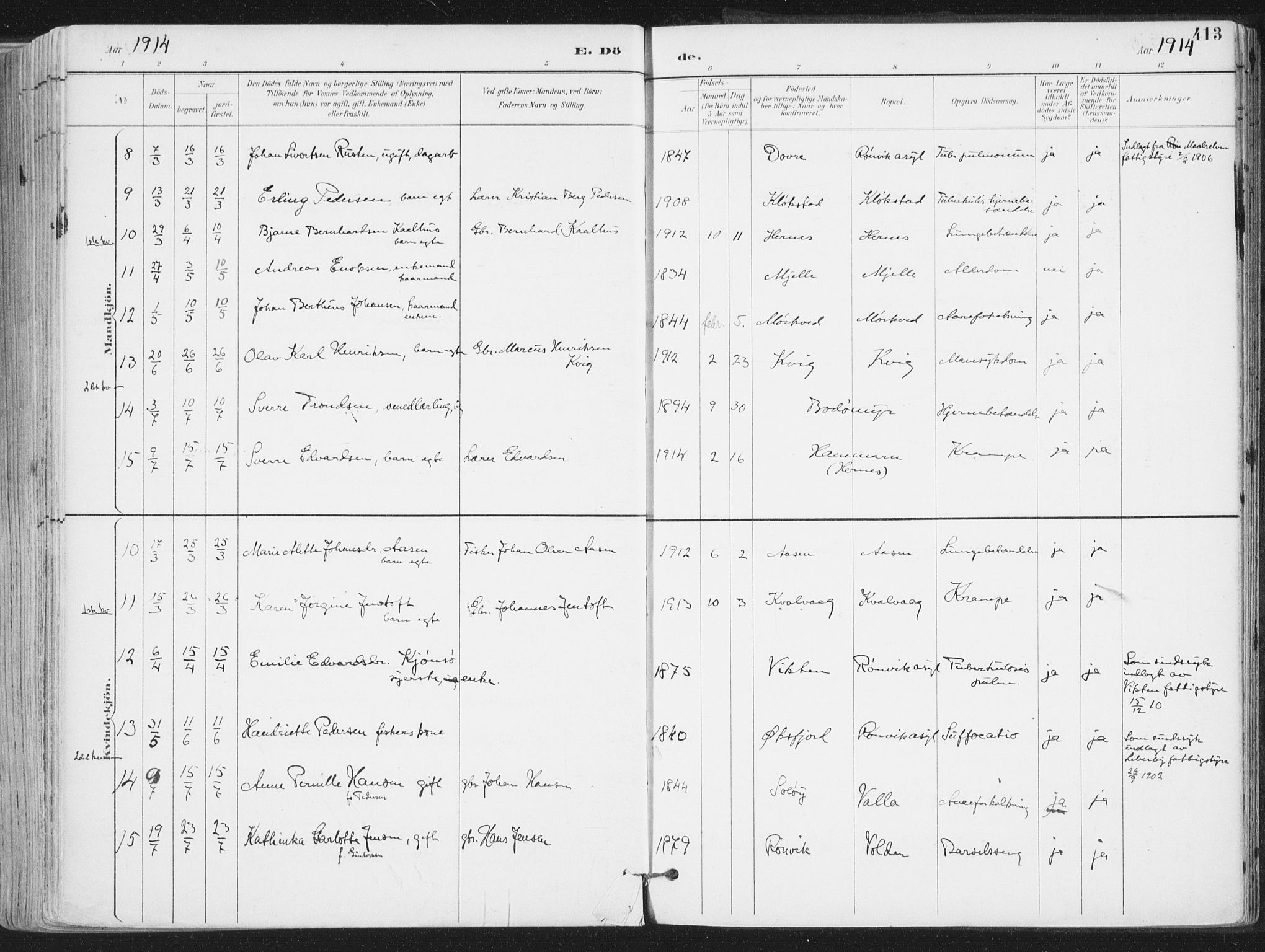 Ministerialprotokoller, klokkerbøker og fødselsregistre - Nordland, SAT/A-1459/802/L0055: Parish register (official) no. 802A02, 1894-1915, p. 413