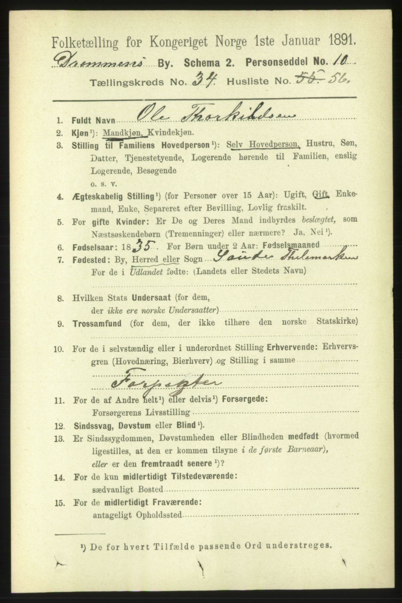 RA, 1891 census for 0602 Drammen, 1891, p. 21071