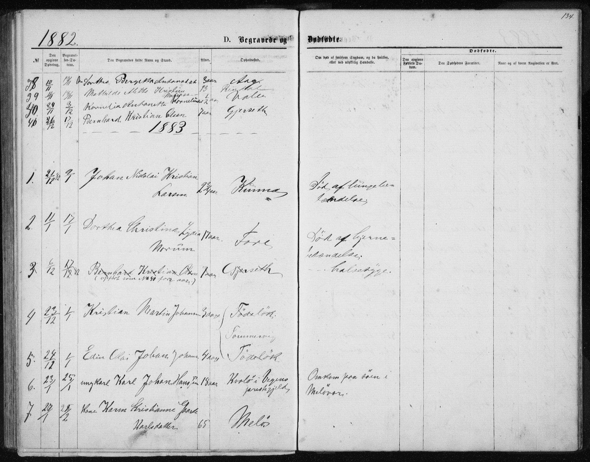 Ministerialprotokoller, klokkerbøker og fødselsregistre - Nordland, AV/SAT-A-1459/843/L0635: Parish register (copy) no. 843C04, 1872-1887, p. 134