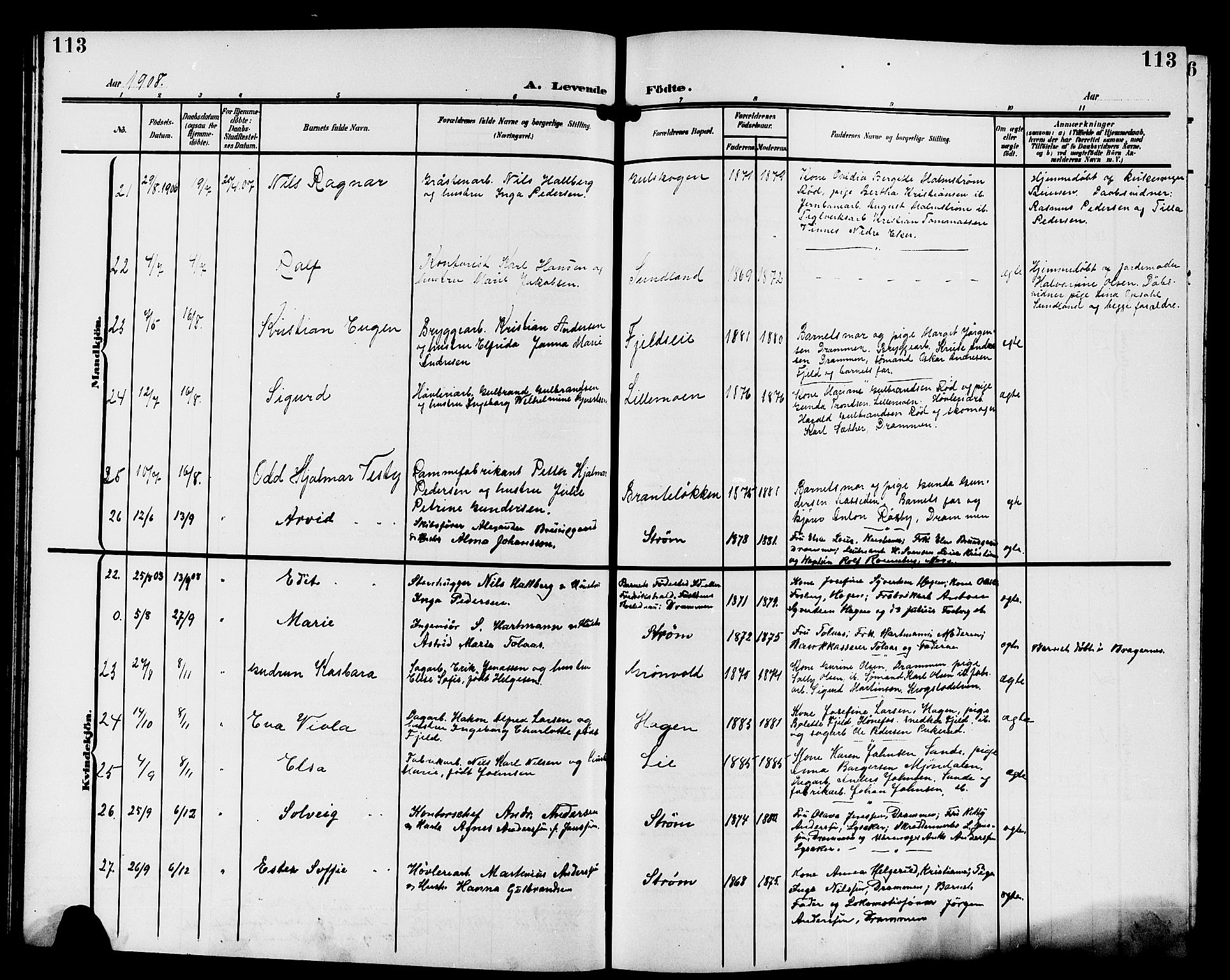 Strømsgodset kirkebøker, AV/SAKO-A-324/G/Ga/L0002: Parish register (copy) no. 2, 1885-1910, p. 113