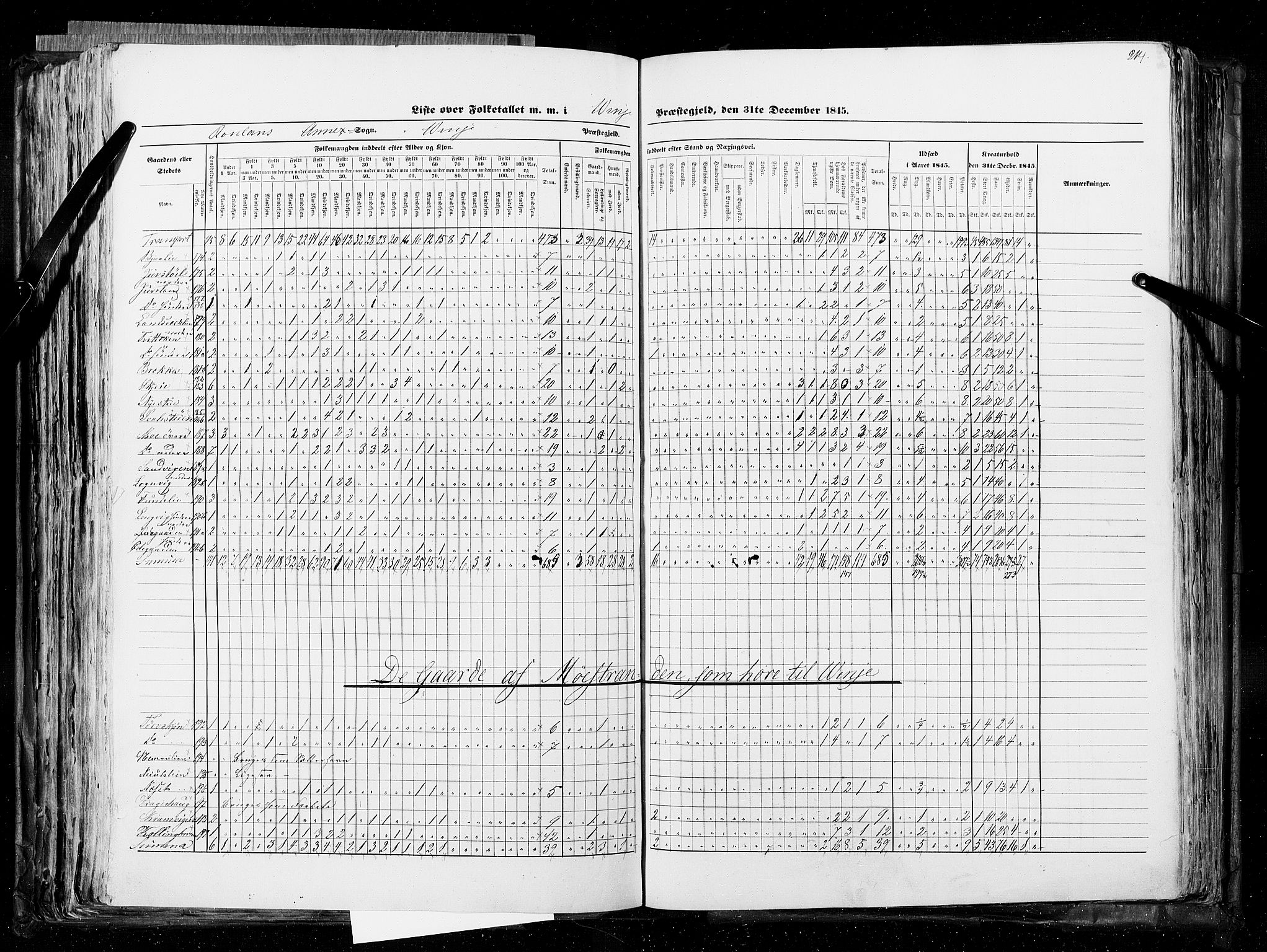 RA, Census 1845, vol. 5: Bratsberg amt og Nedenes og Råbyggelaget amt, 1845, p. 214