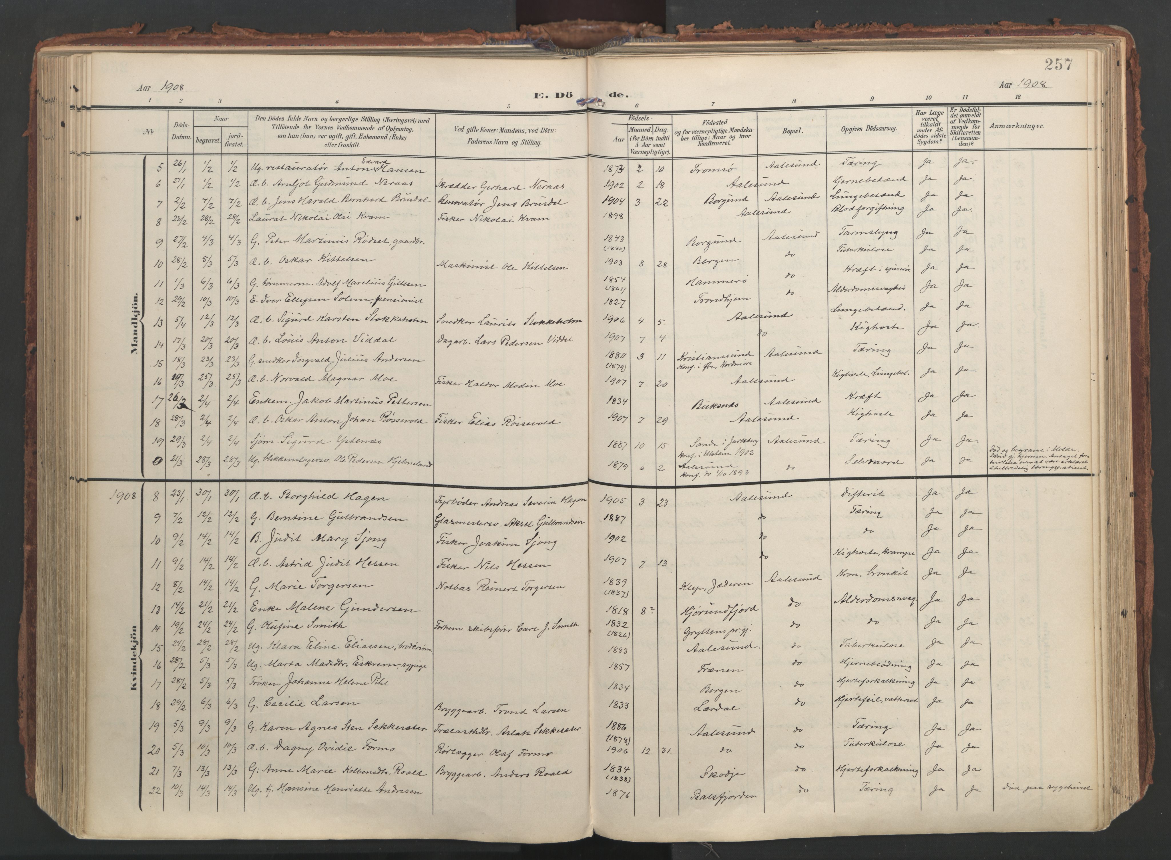 Ministerialprotokoller, klokkerbøker og fødselsregistre - Møre og Romsdal, SAT/A-1454/529/L0459: Parish register (official) no. 529A09, 1904-1917, p. 257
