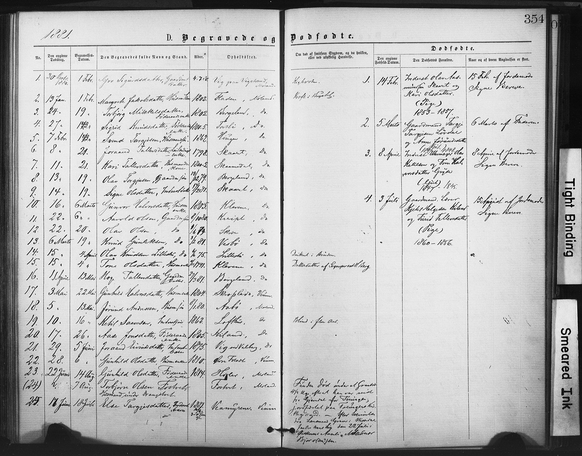 Fyresdal kirkebøker, SAKO/A-263/F/Fa/L0006: Parish register (official) no. I 6, 1872-1886, p. 354