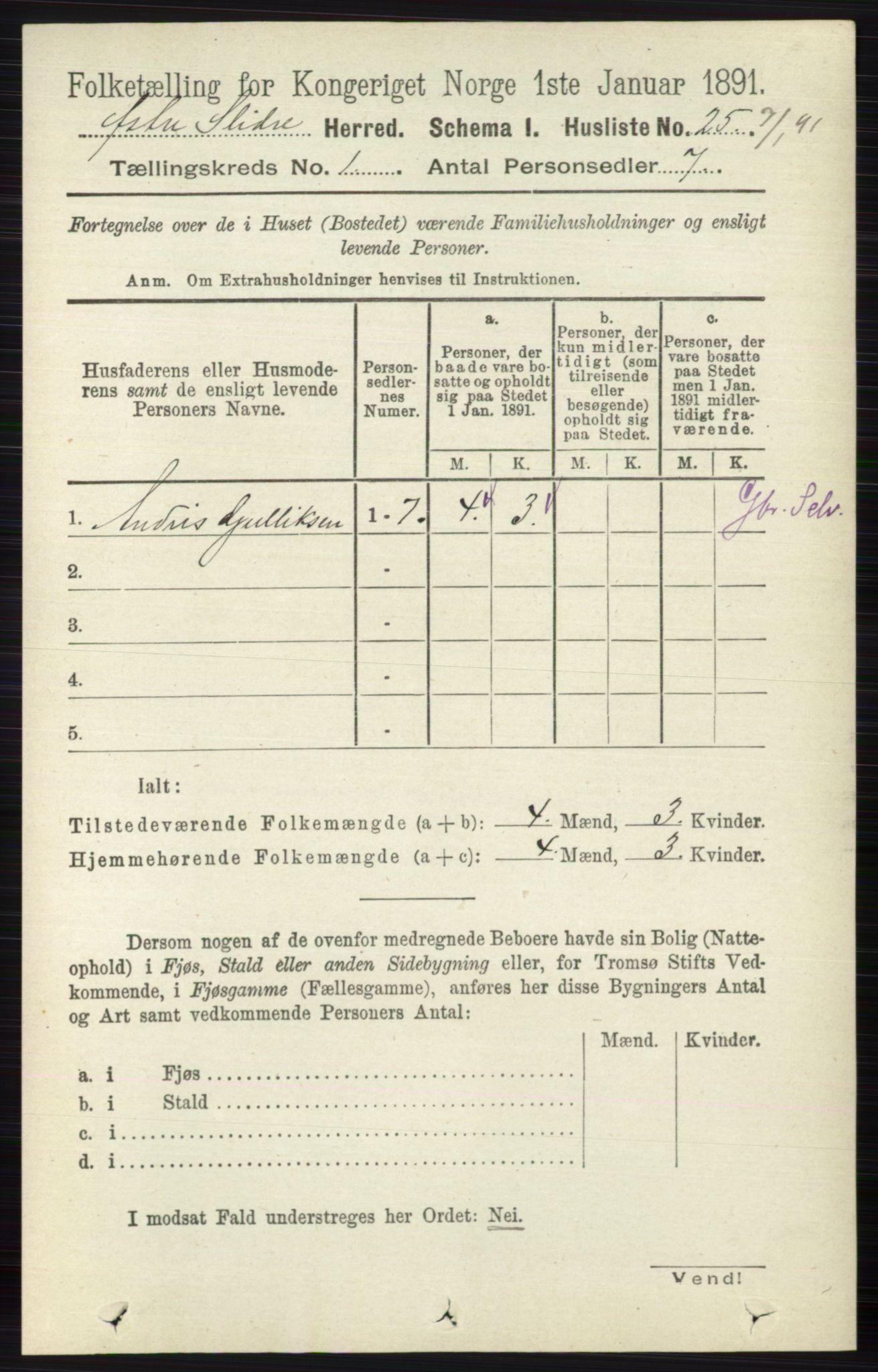 RA, 1891 census for 0544 Øystre Slidre, 1891, p. 51