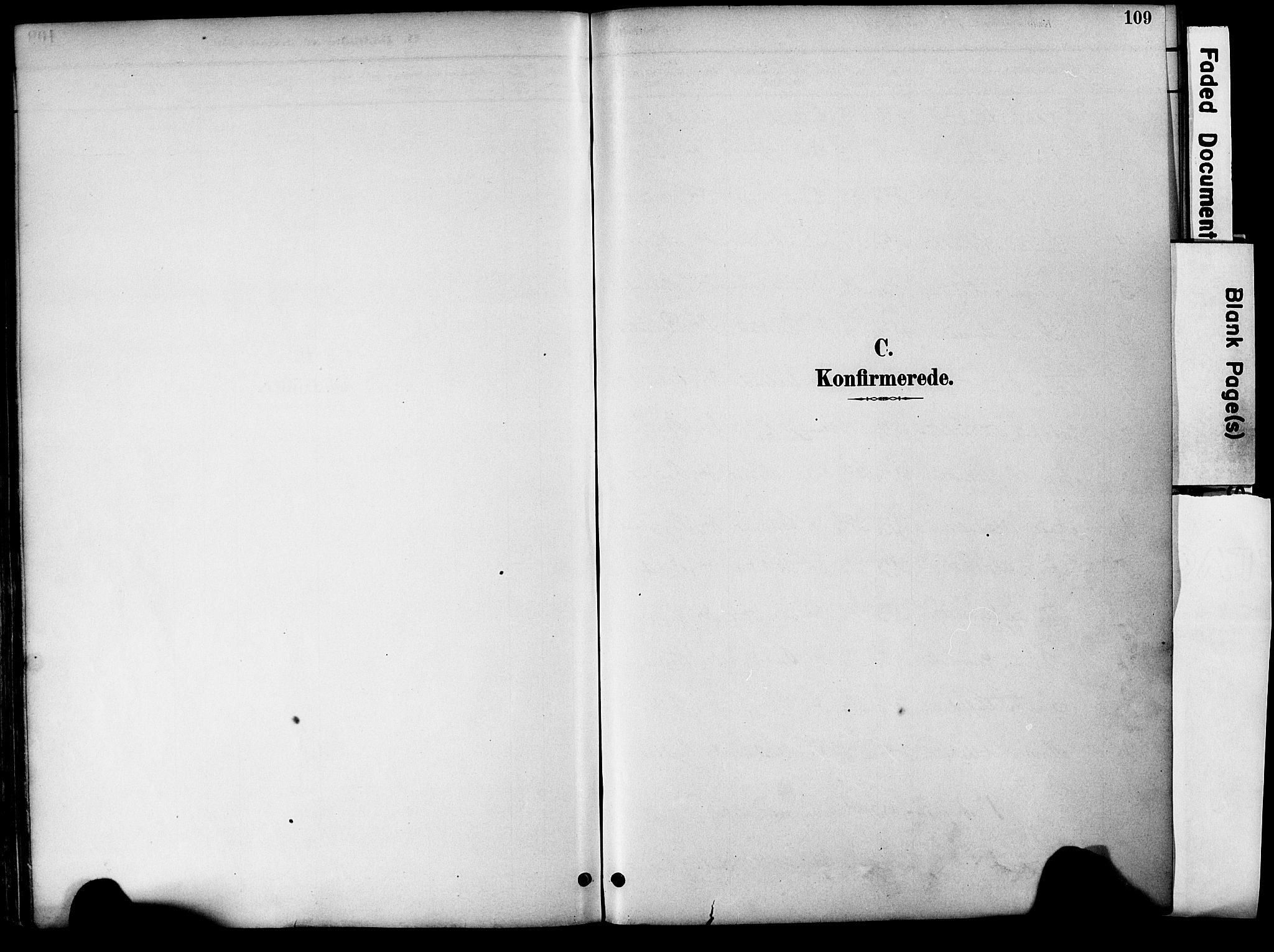 Evje sokneprestkontor, AV/SAK-1111-0008/F/Fa/Fac/L0003: Parish register (official) no. A 3, 1884-1909, p. 109