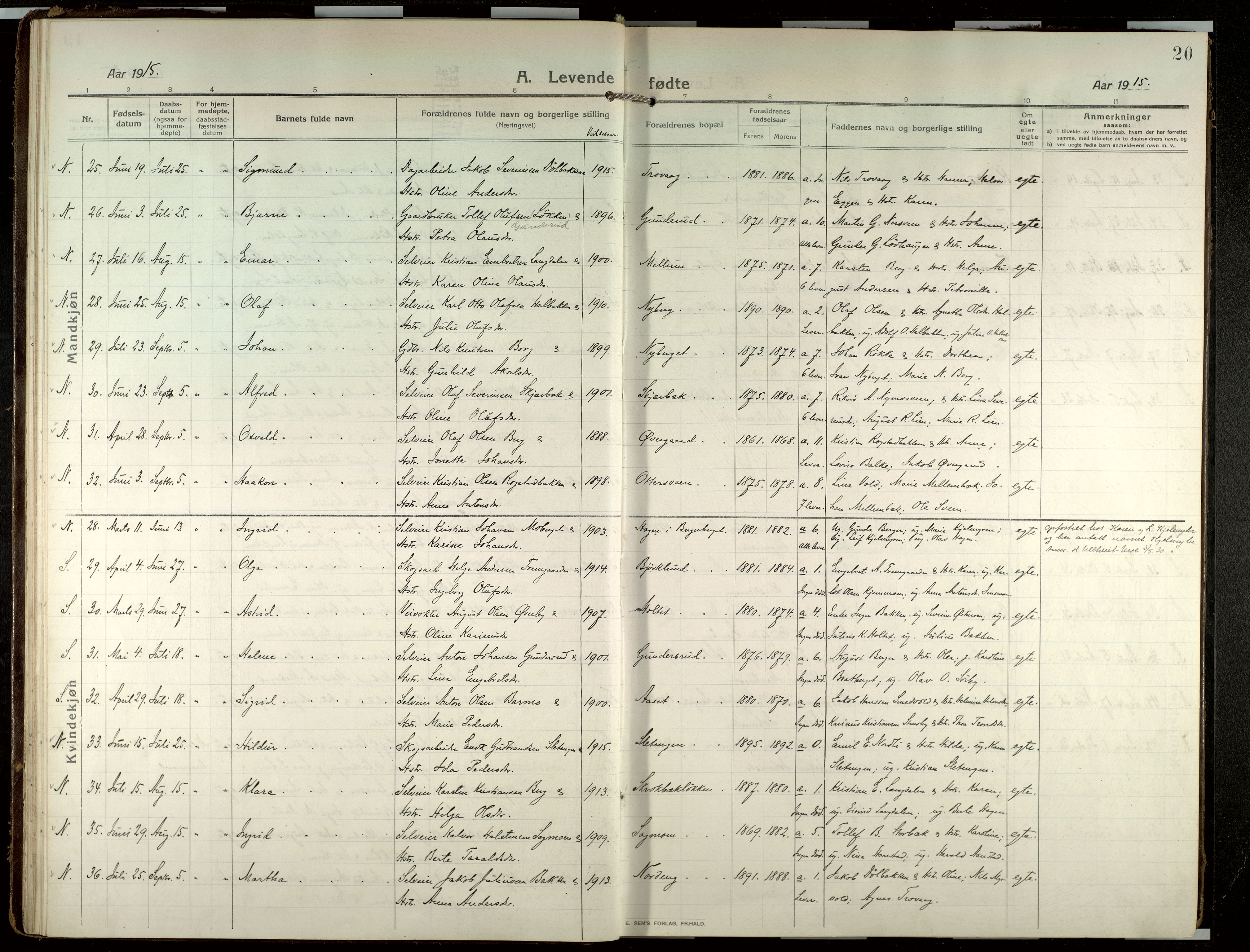 Elverum prestekontor, AV/SAH-PREST-044/H/Ha/Haa/L0022: Parish register (official) no. 22, 1913-1924, p. 20